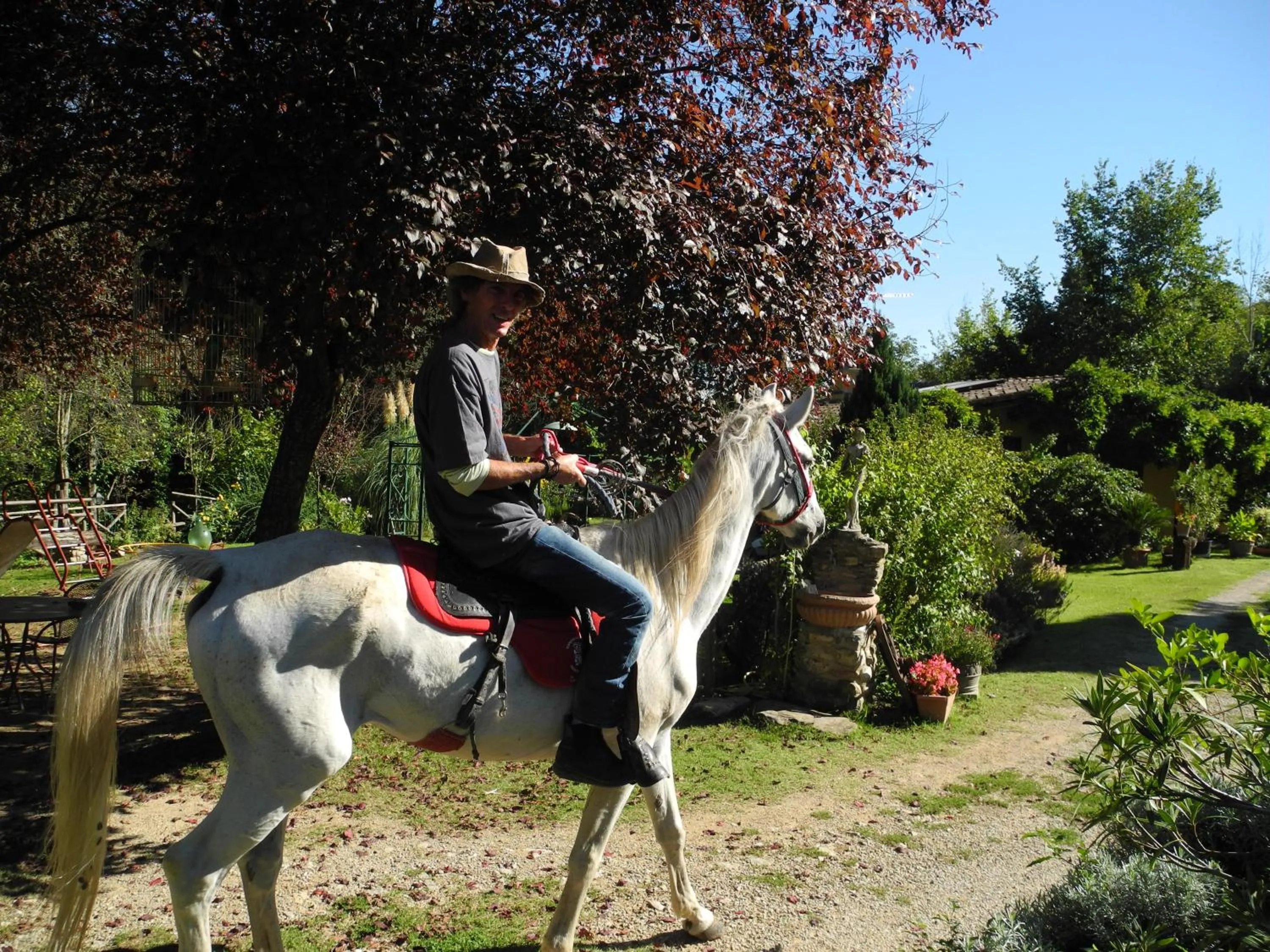 Animals in Locanda Delle Noci