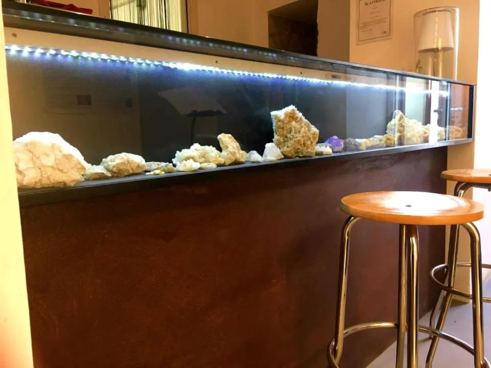 Lounge or bar in Hotel Diffuso Antichi Ricordi