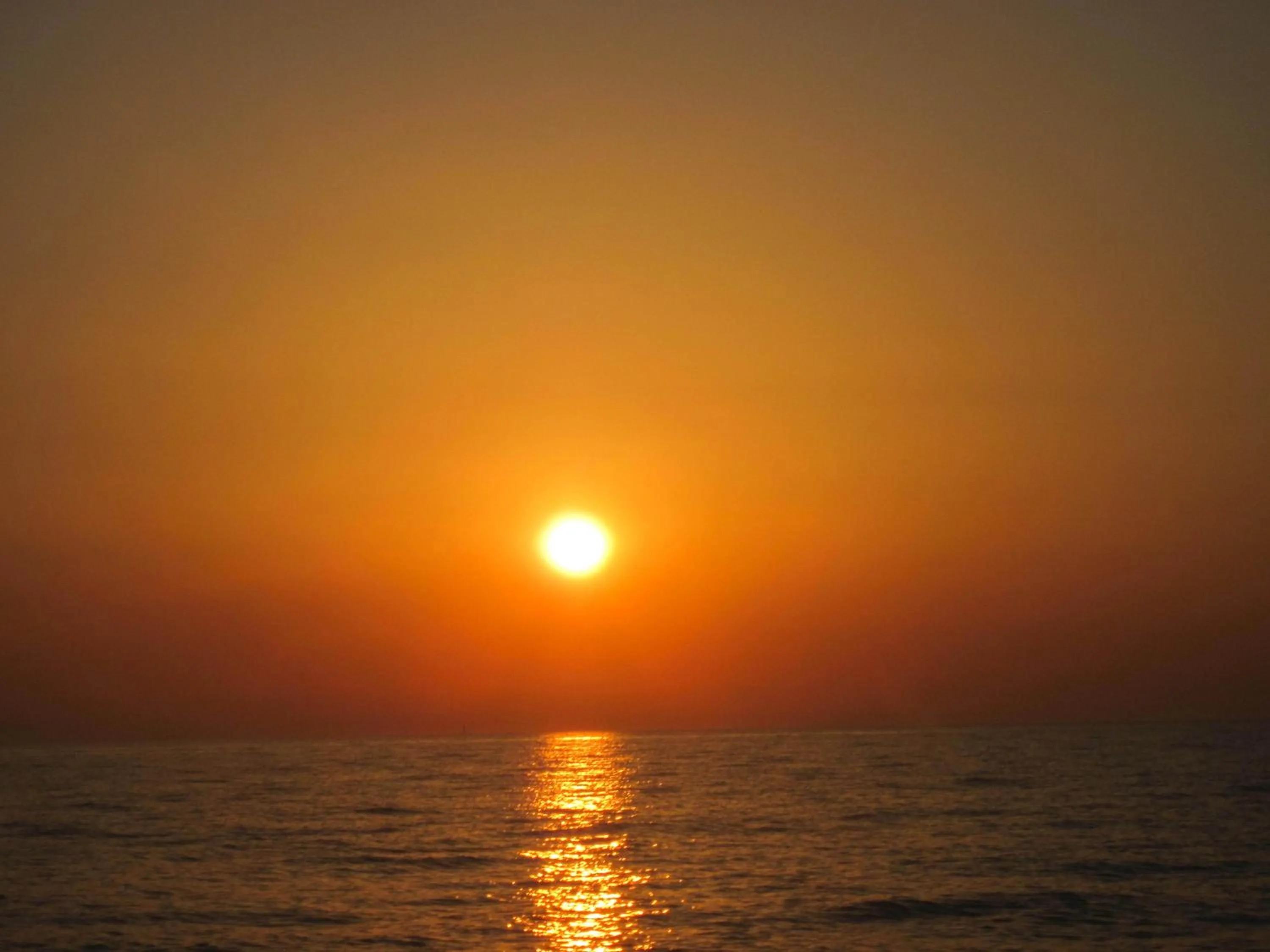 Beach in Hotel Il Ponte