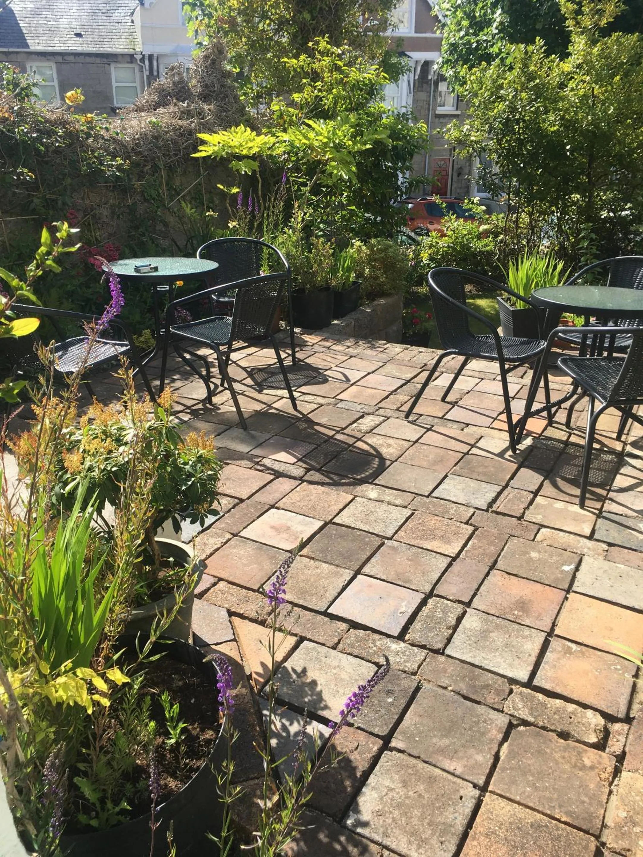 Garden in Seaclyffe Hotel Ltd