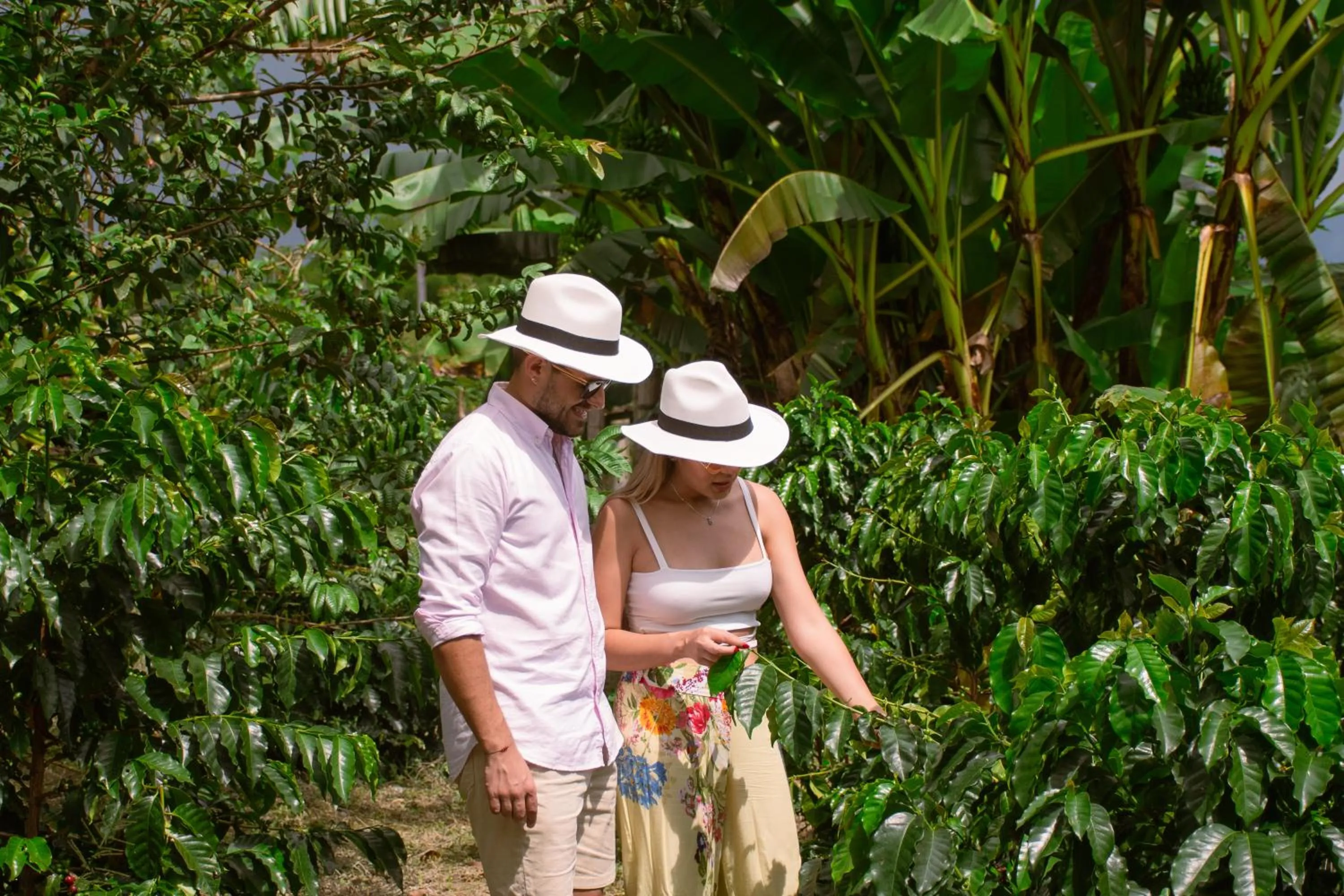 Garden in La Herencia Hotel