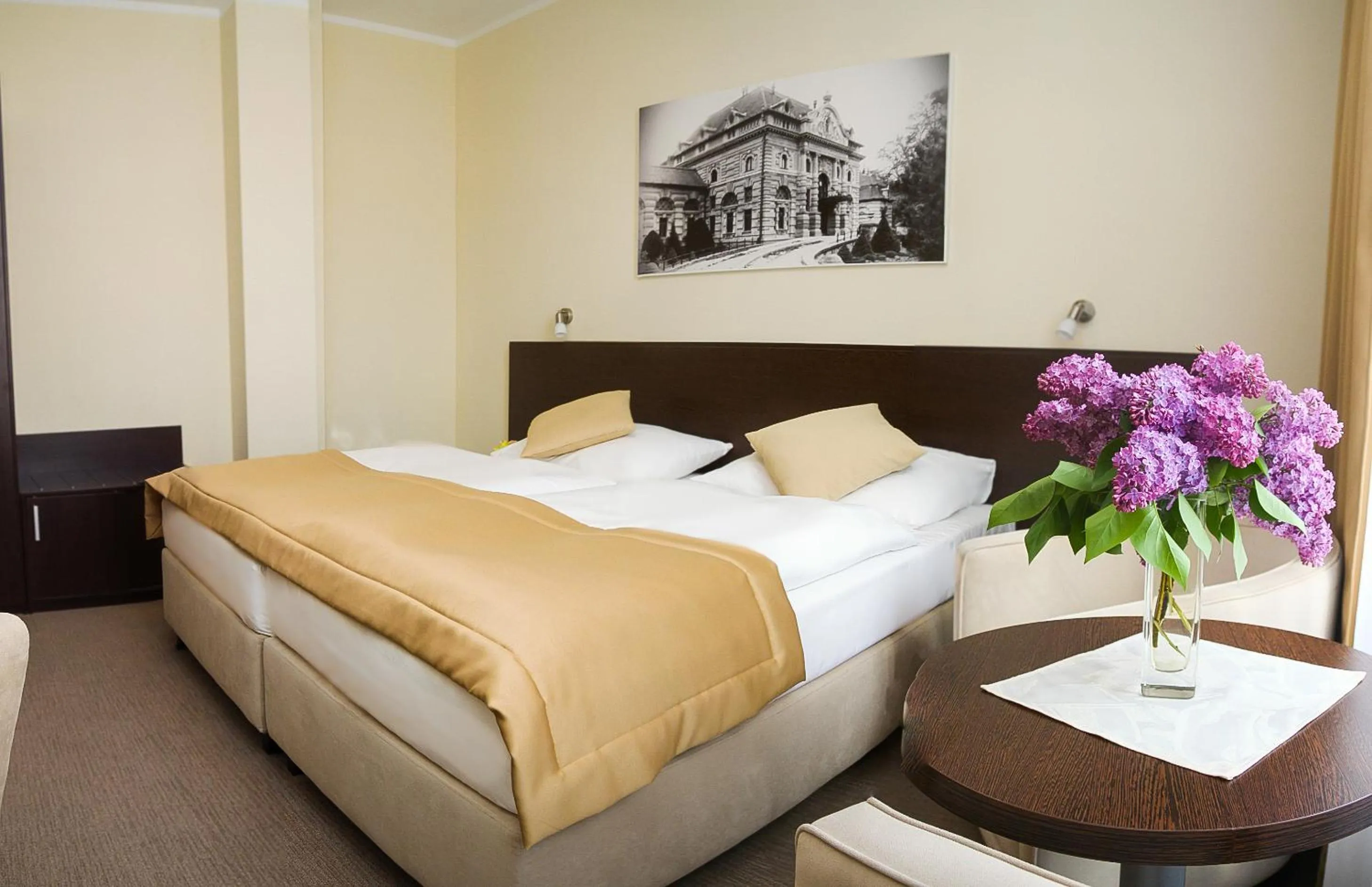 Bed in Ensana Pro Patria