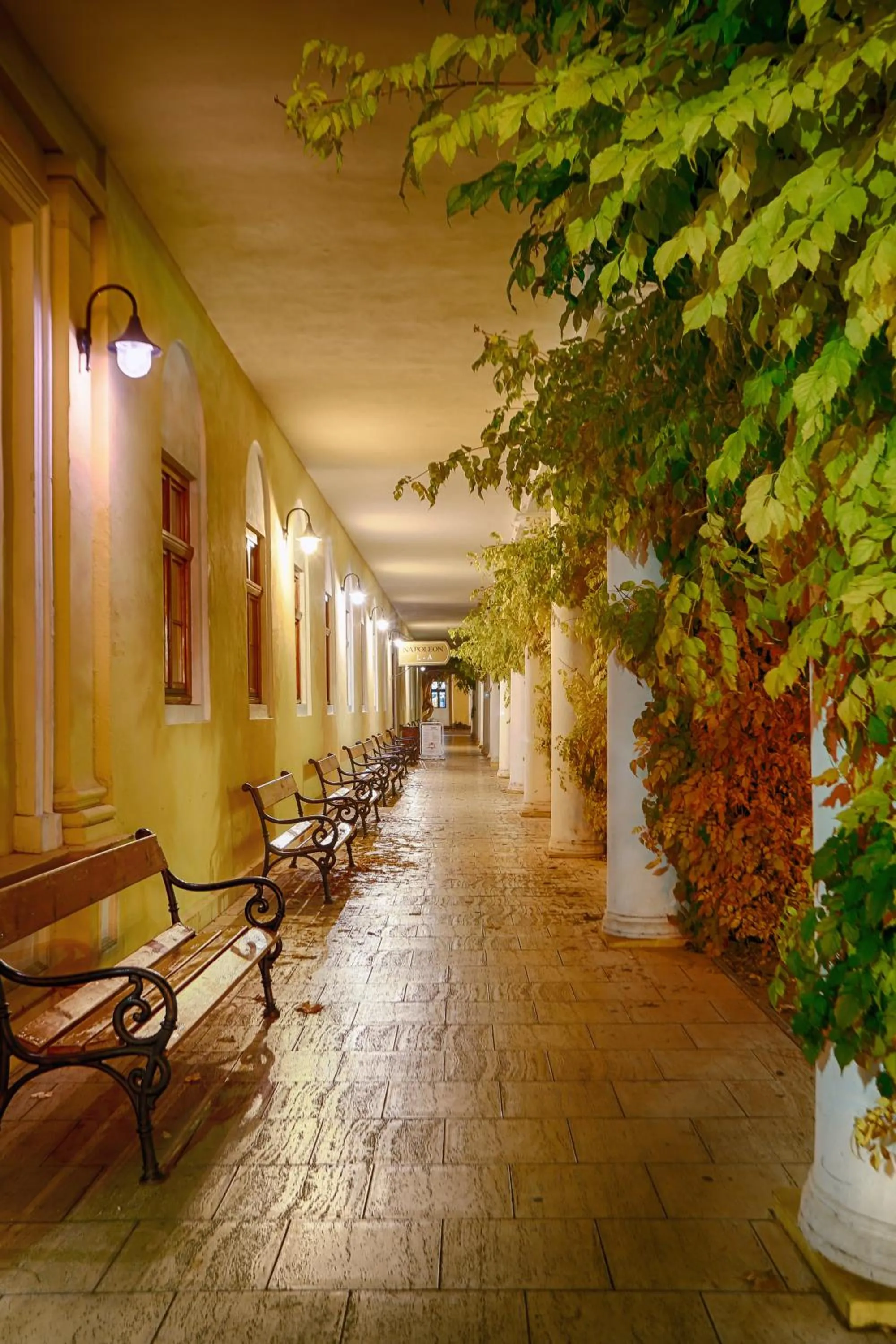 Nearby landmark in Ensana Pro Patria