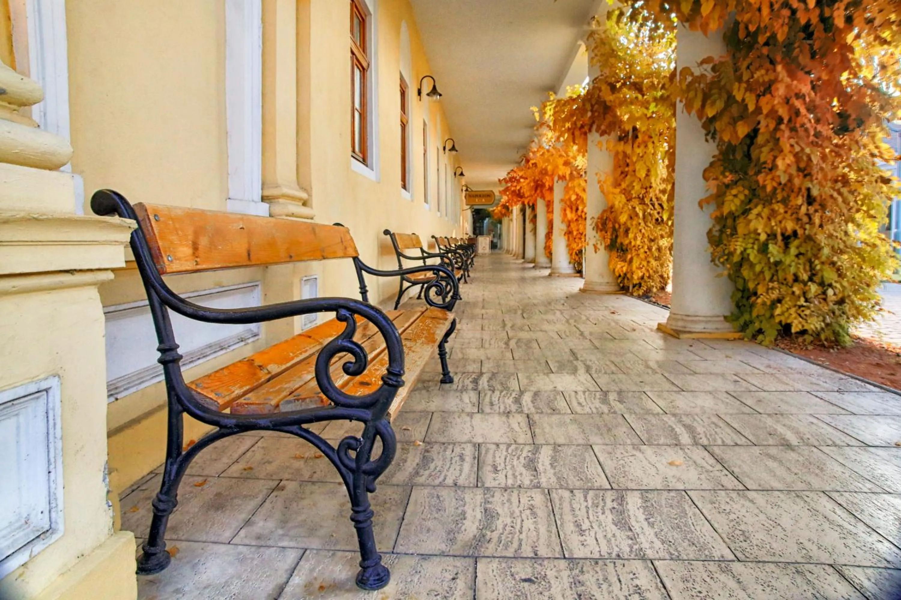 Nearby landmark in Ensana Pro Patria