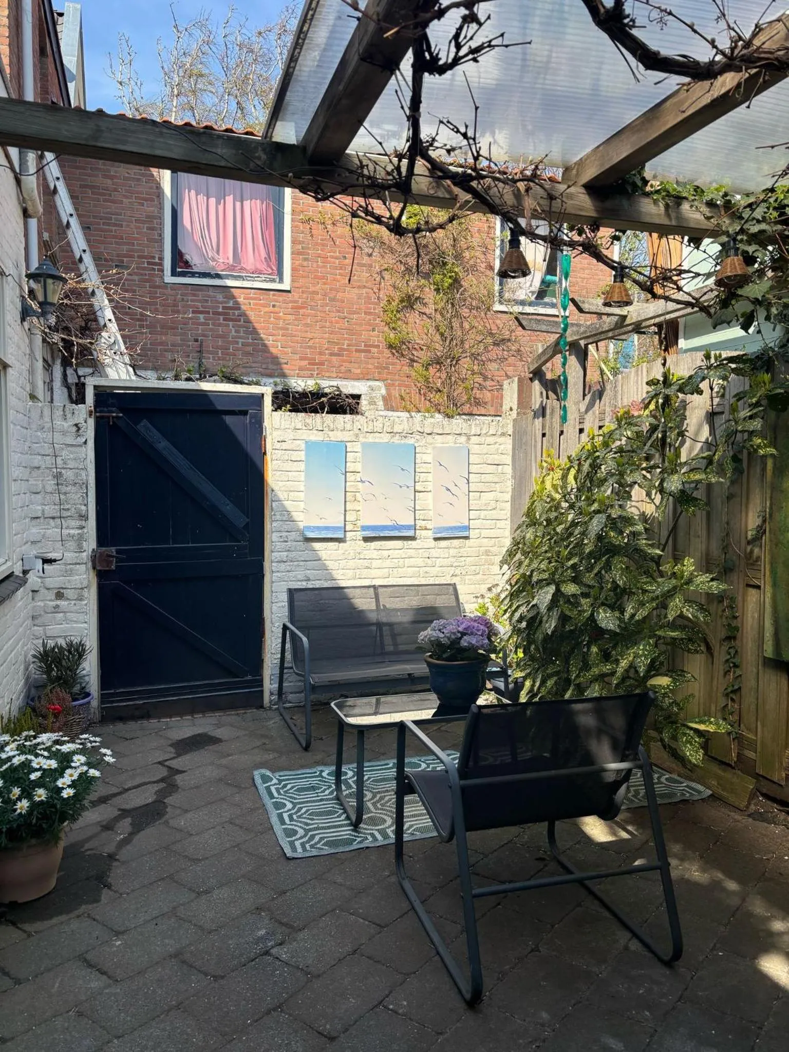 Garden in B&B de Zandtaart