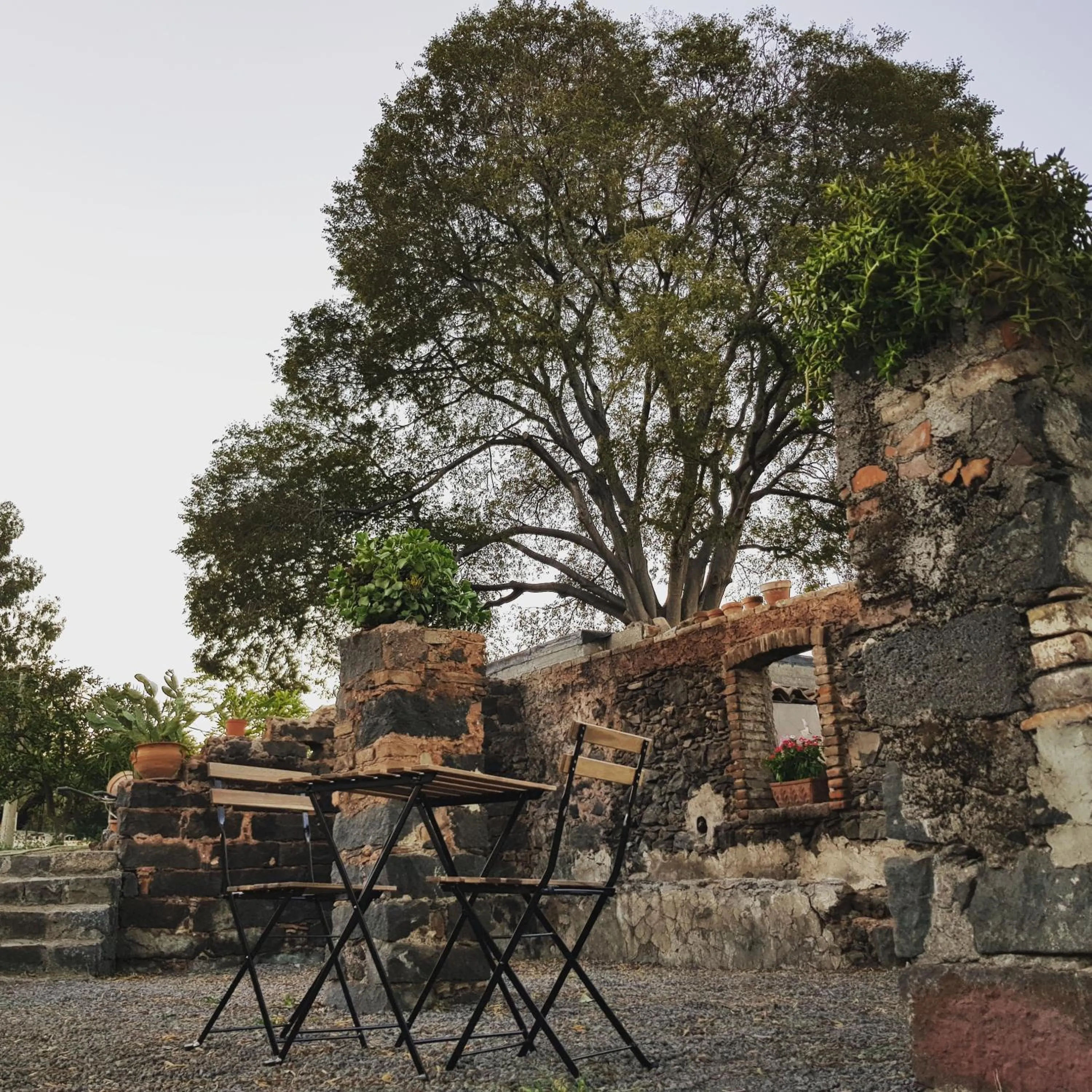 Garden in AGRO Sicily