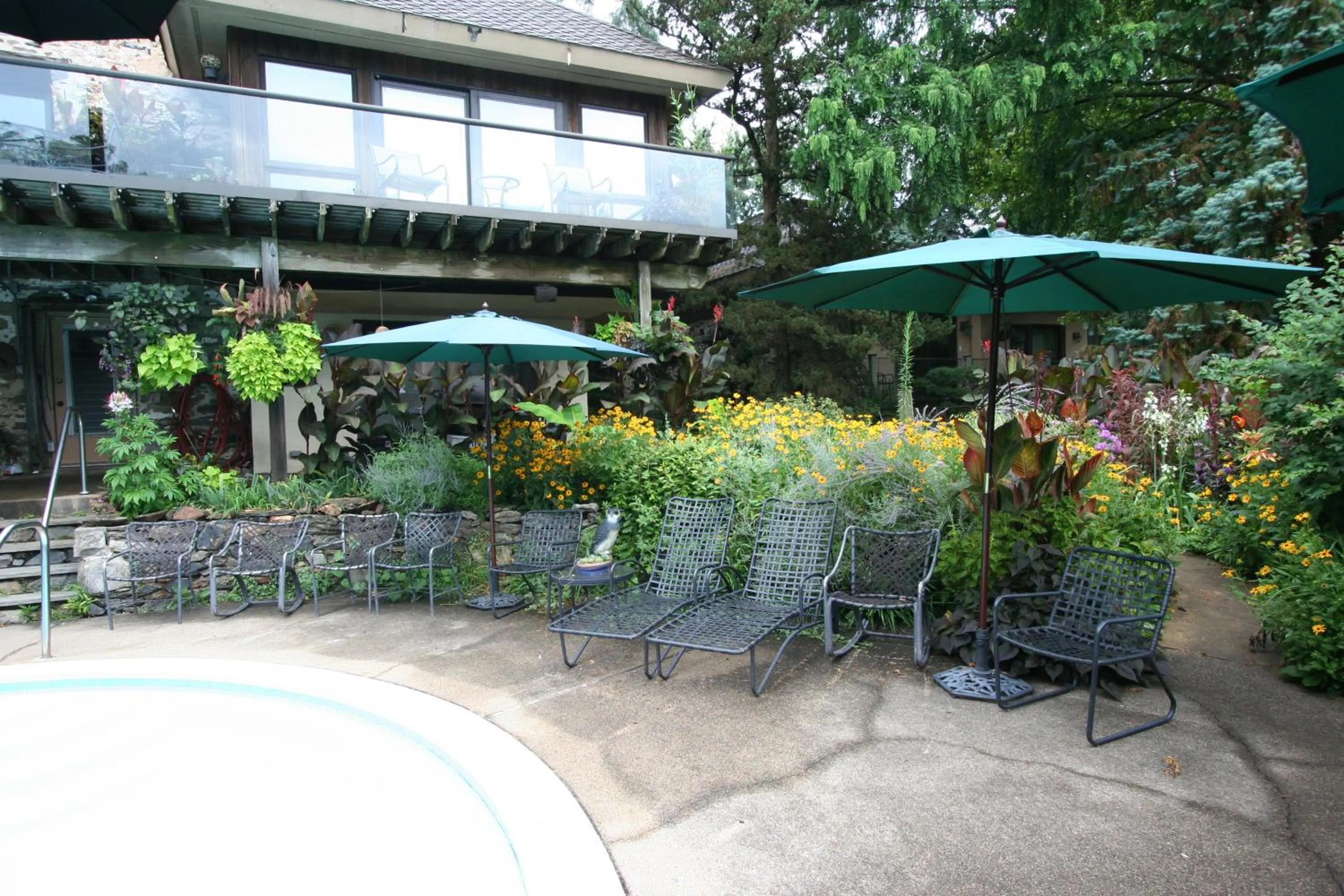 Breakfast in Alpenhof Bed & Breakfast