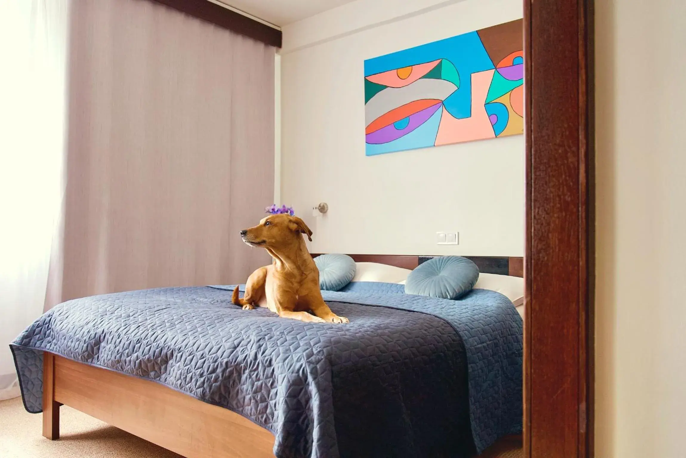 Standard Double or Twin Room - single occupancy in Hotel Merkur - Jablonec nad Nisou Standard Double or Twin Room - single occupancy in Hotel Merkur - Jablonec nad Nisou