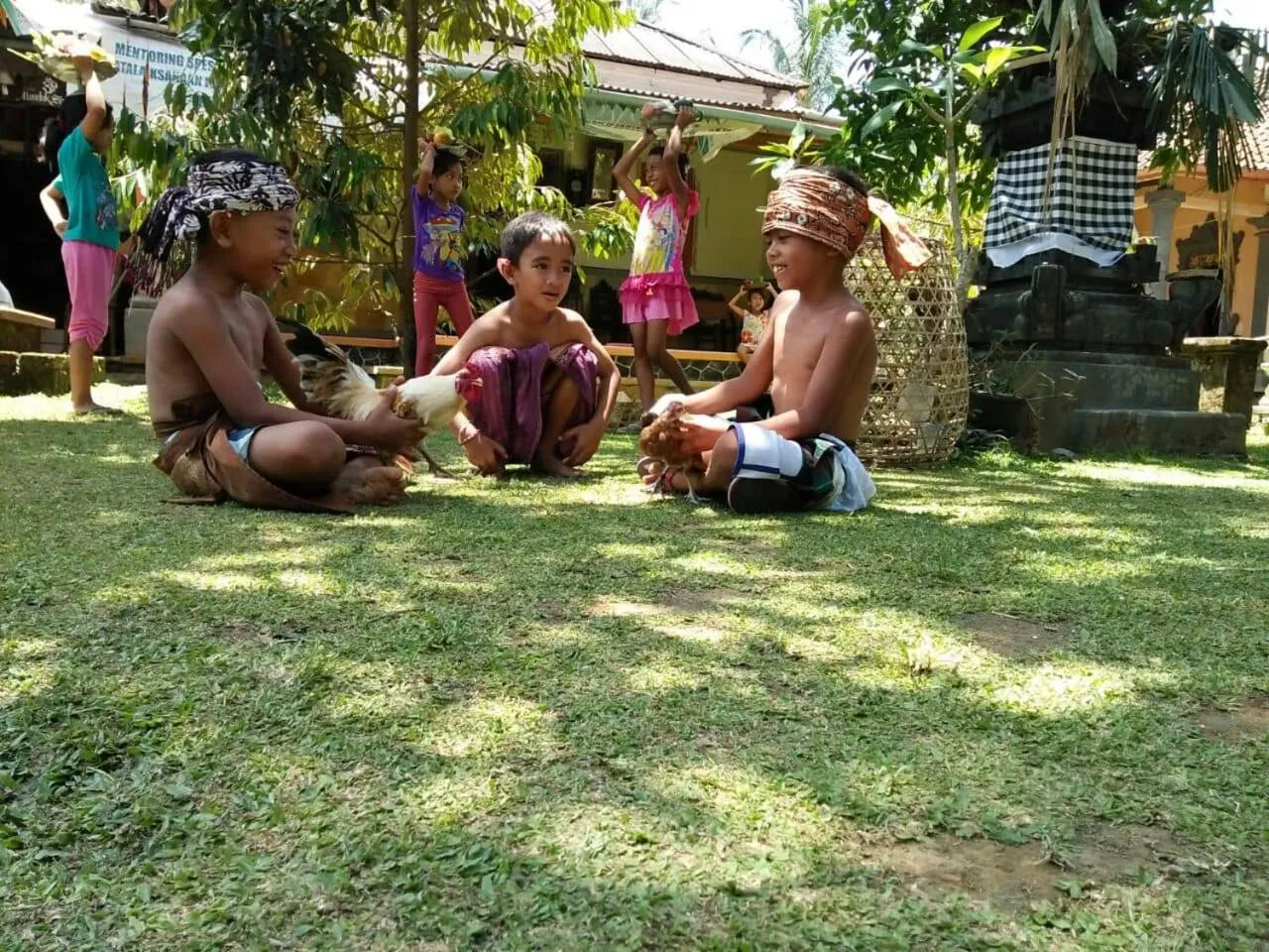 Garden in Mandhasativa Homestay