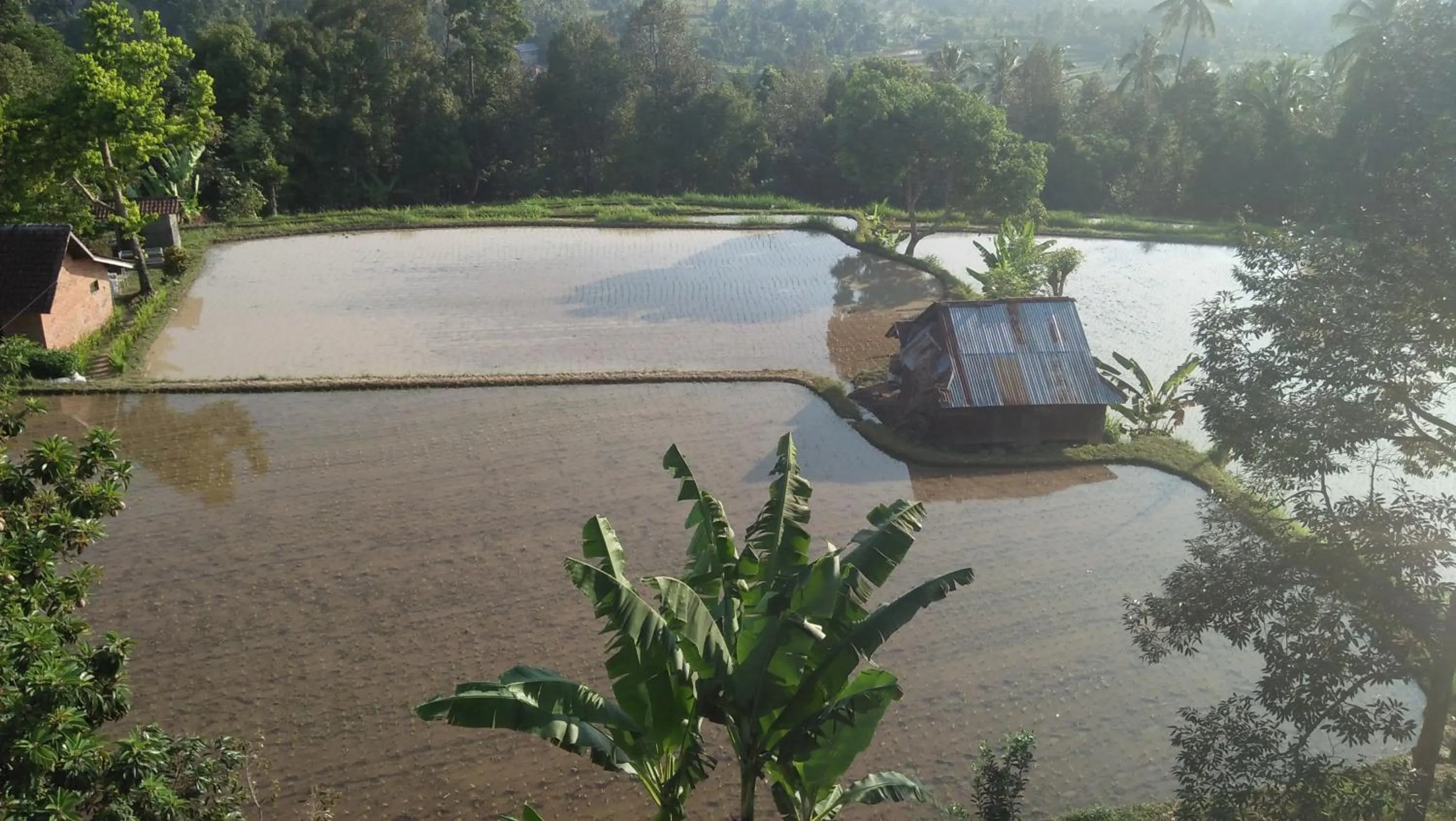 Natural landscape in Mandhasativa Homestay