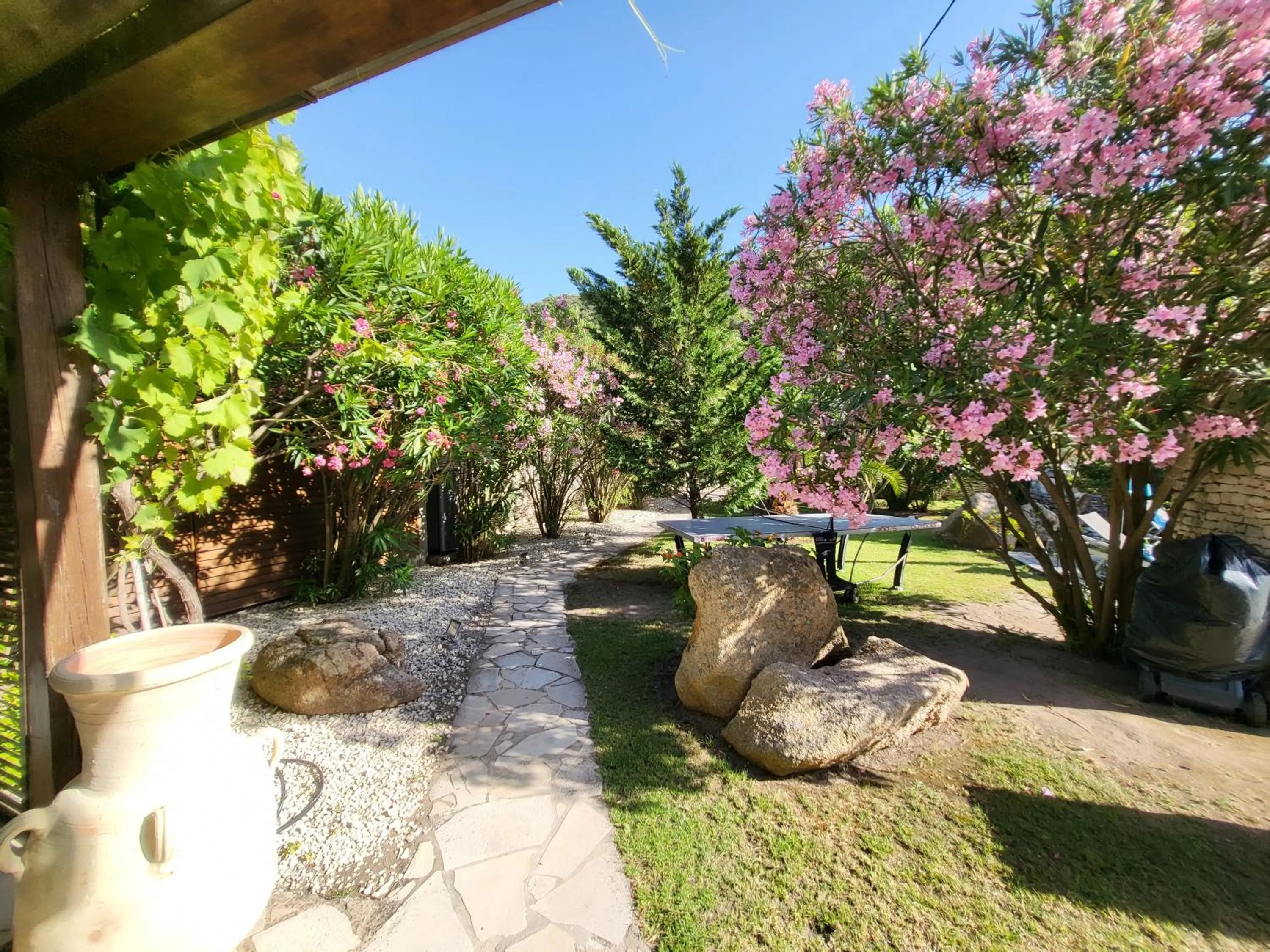 Garden in Villa Petra Bianca Suites & Chambres