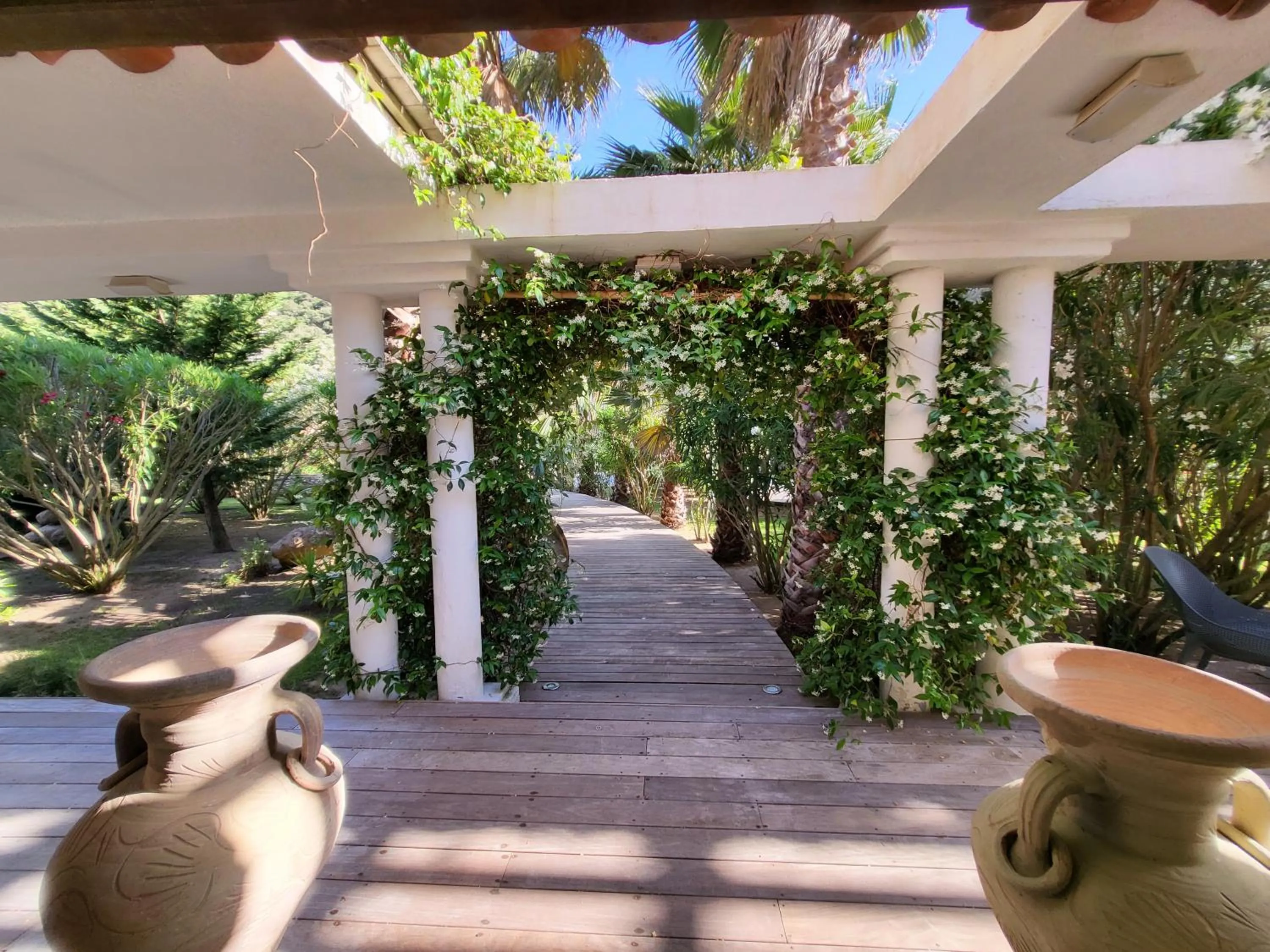 Garden view in Villa Petra Bianca Suites & Chambres