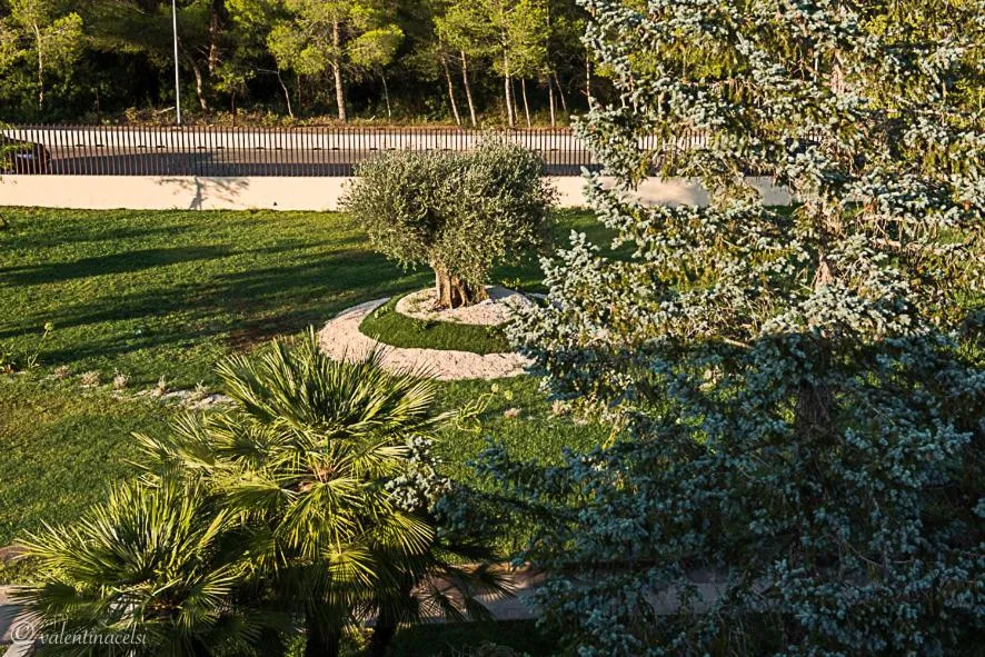 Property building in Hotel San Vincenzo Resort