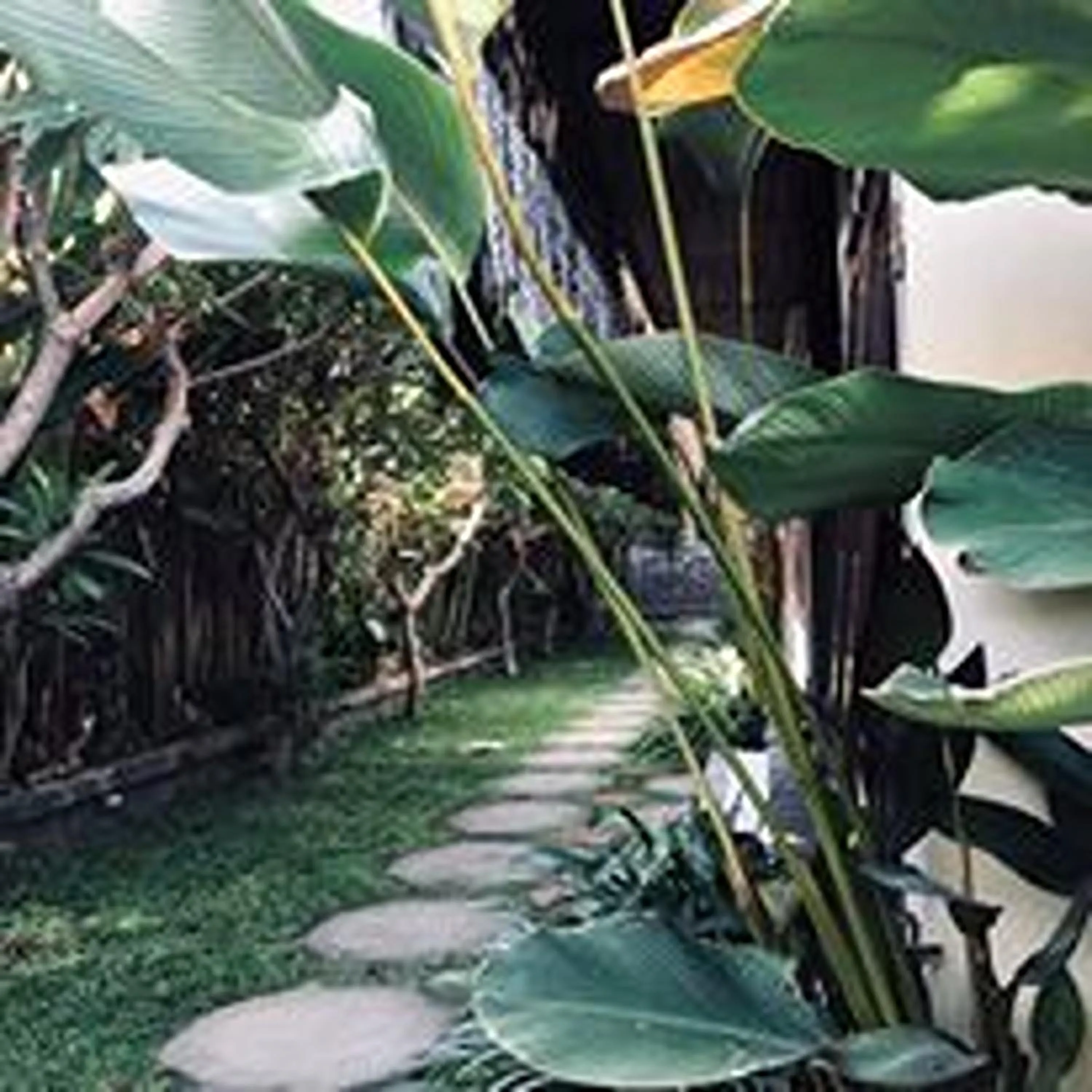 Spring in Mai Guest House Sanur