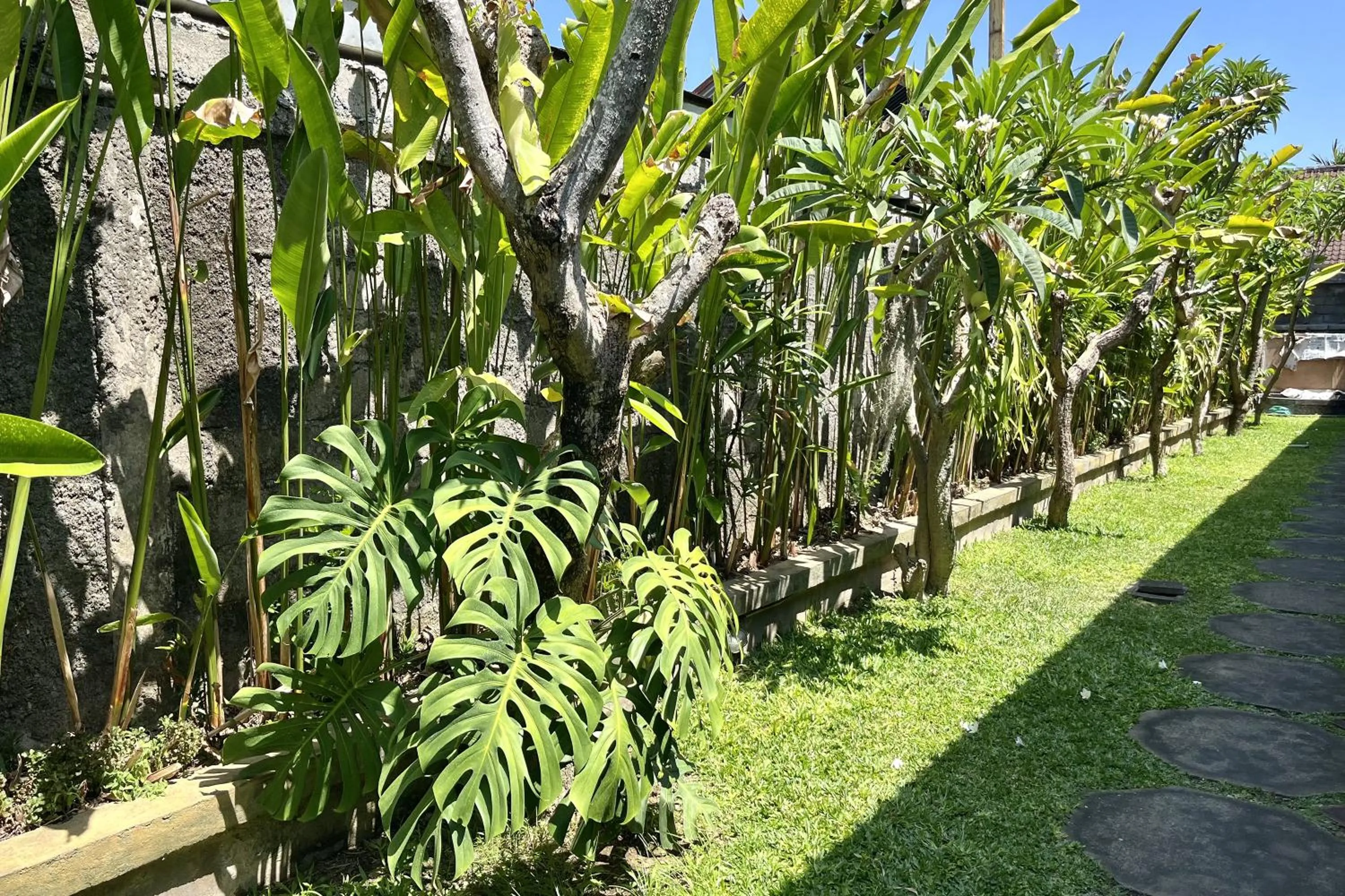 Garden in Mai Guest House Sanur