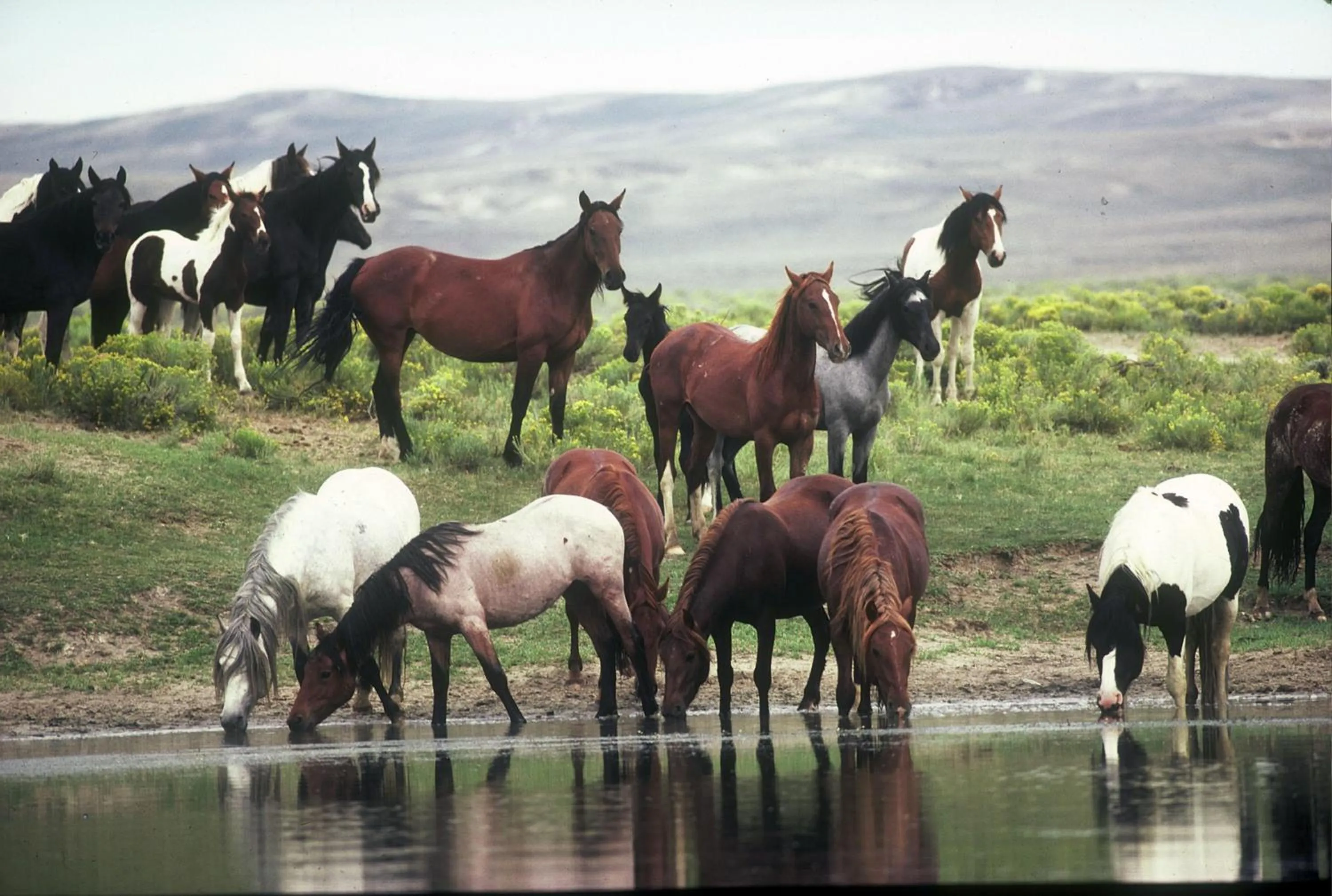 Nearby landmark in Holiday Inn Rock Springs by IHG