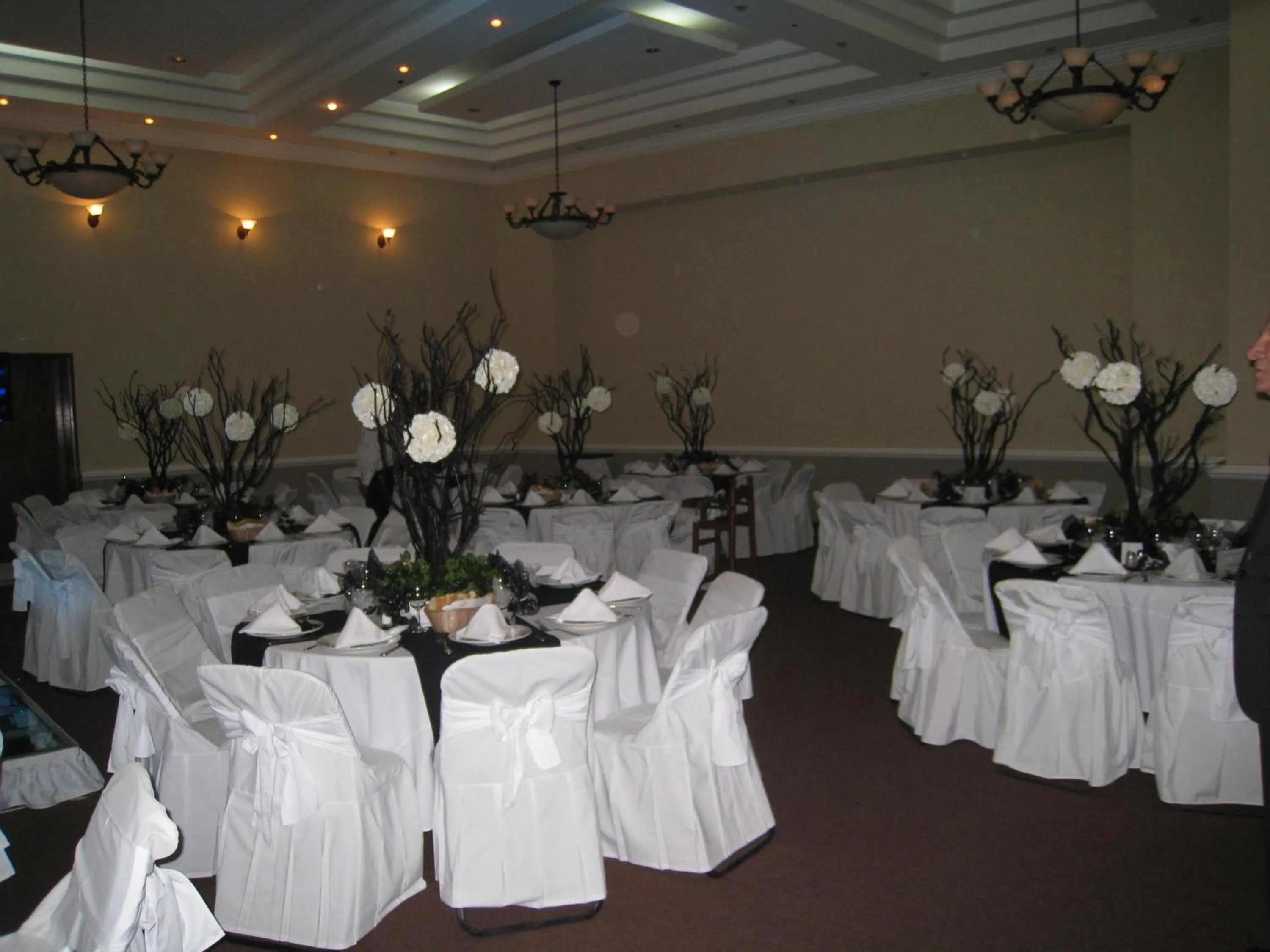 Banquet/Function facilities in Hotel Argento