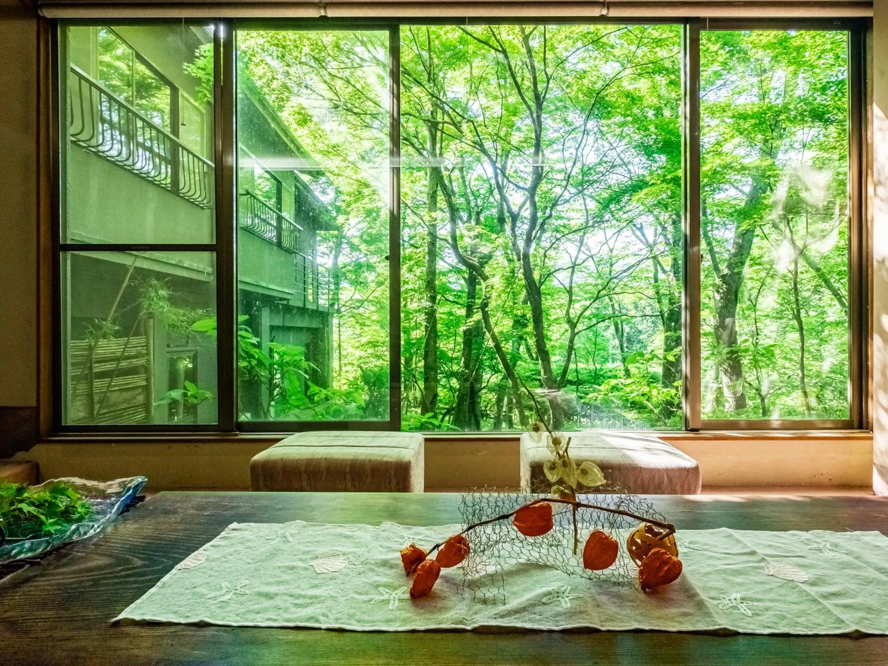 Communal lounge/ TV room in Hakone Onsen Sanso Nakamura