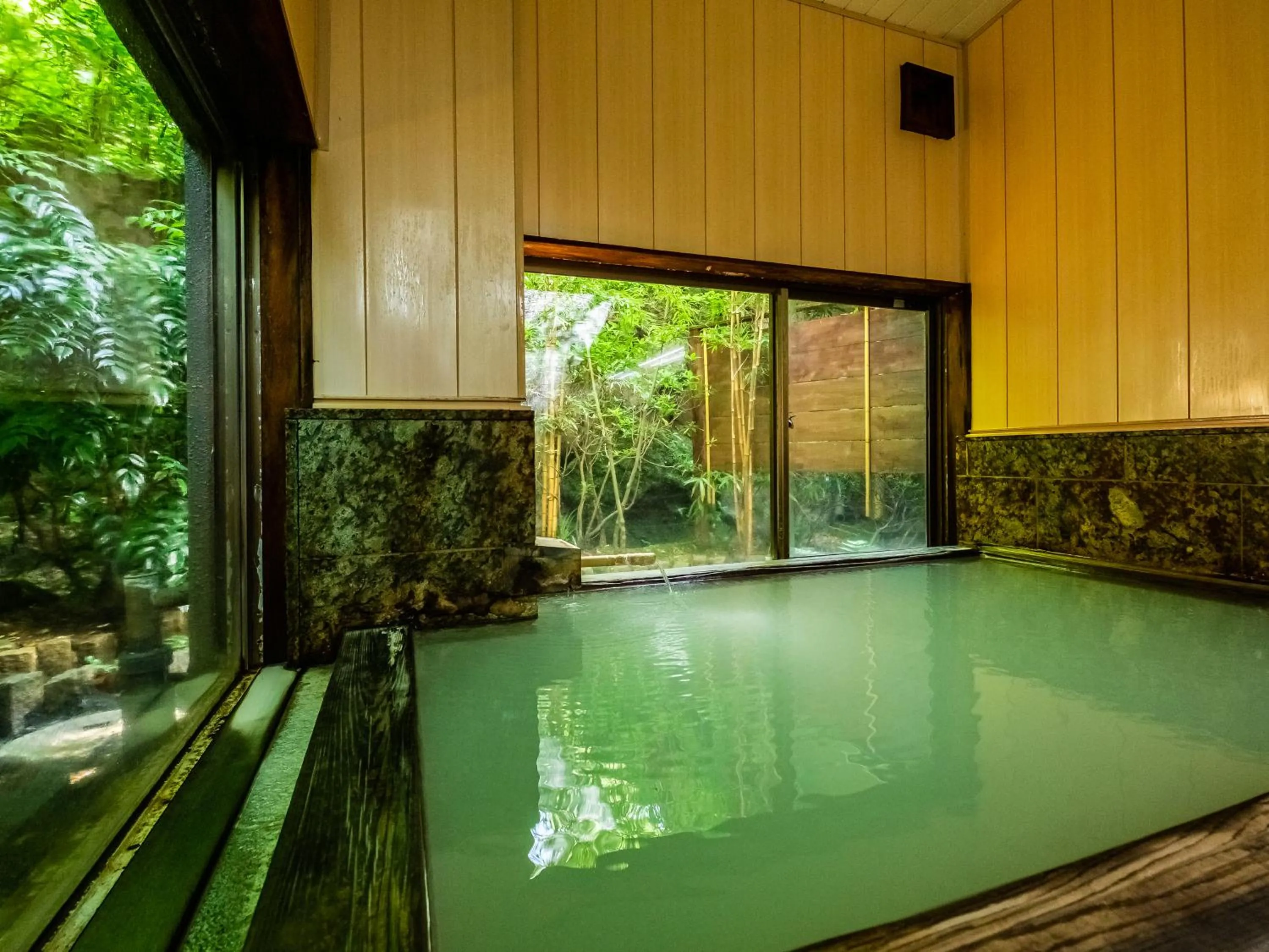 Hot Spring Bath in Hakone Onsen Sanso Nakamura