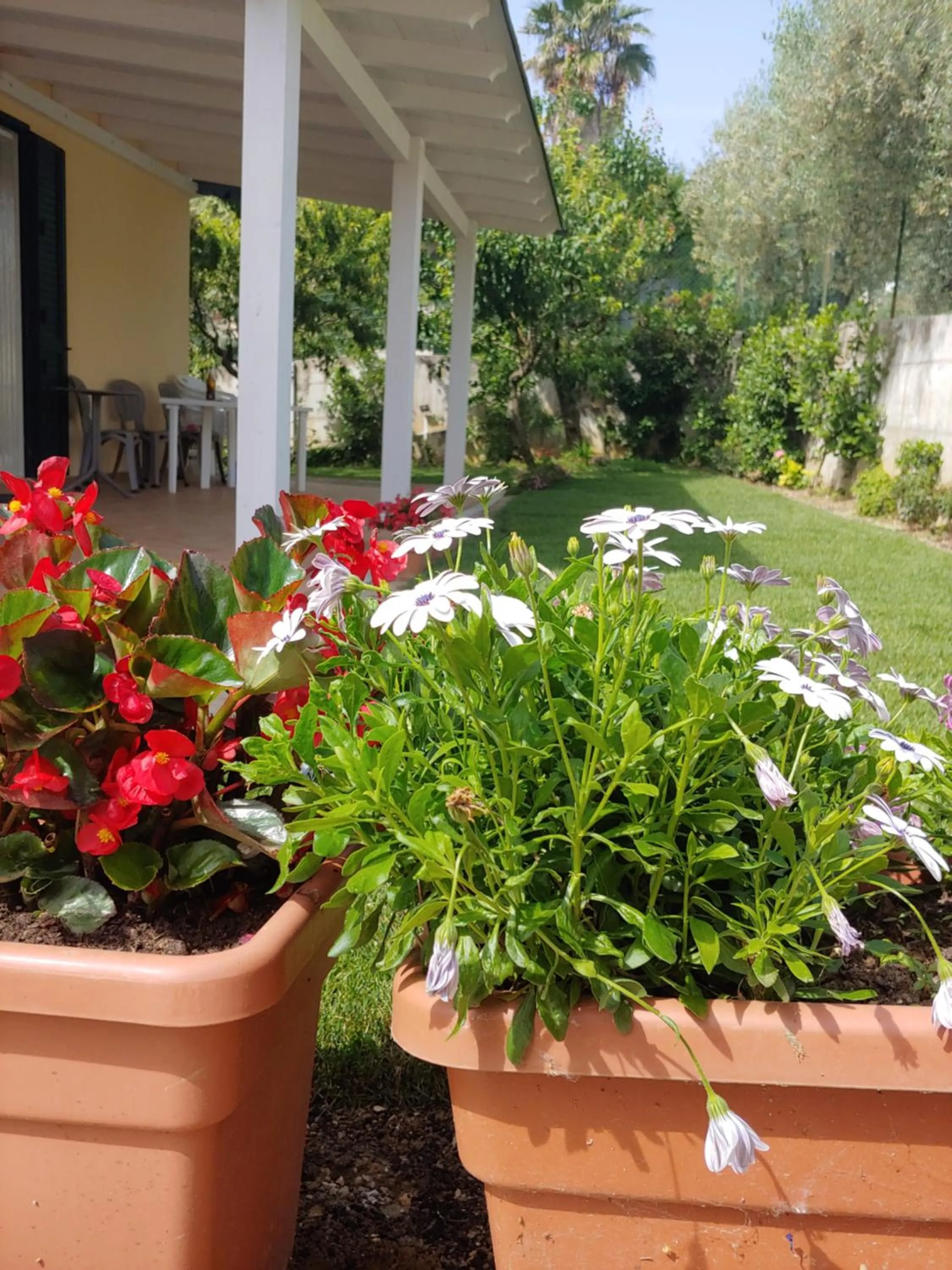 Patio in Villa Lucia B&B