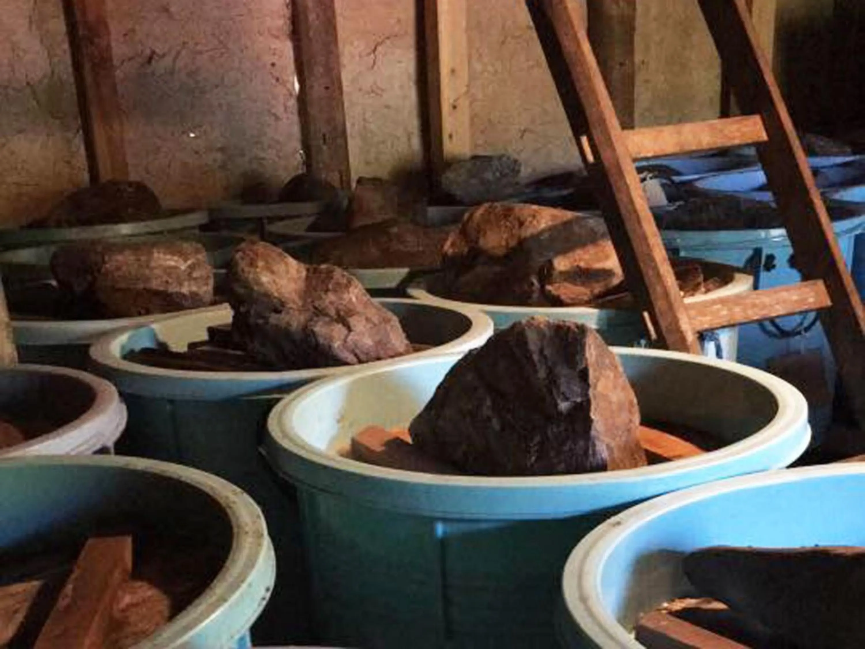 Food in Kyo no Minshuku Ohara no Sato