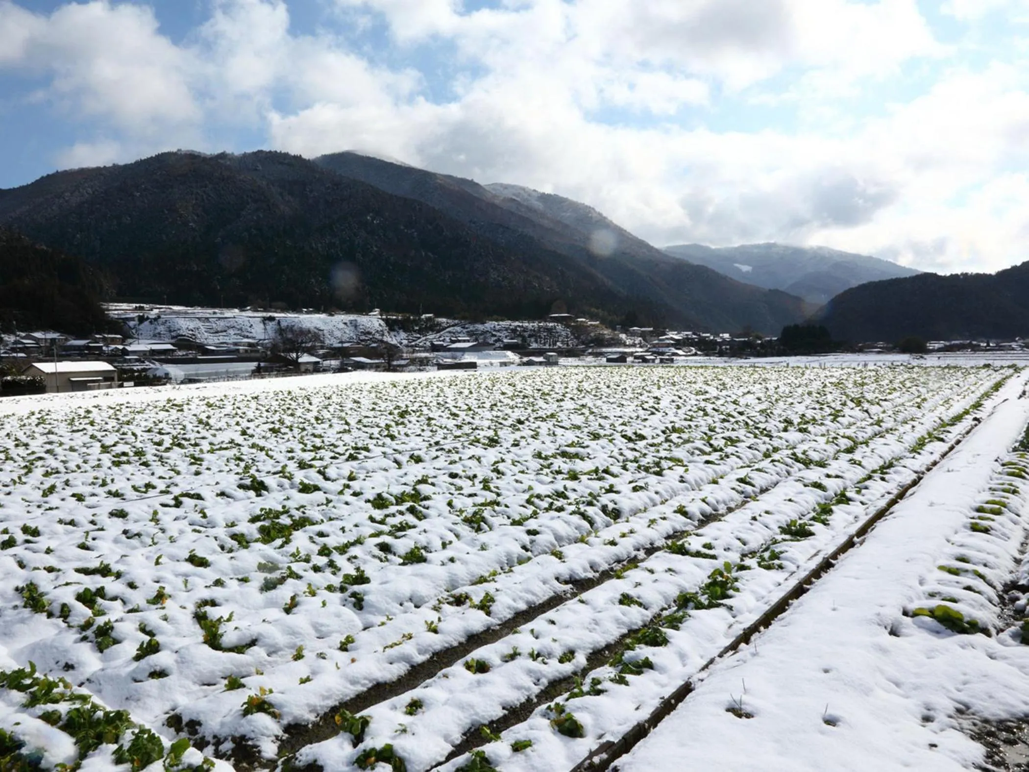 Winter in Kyo no Minshuku Ohara no Sato