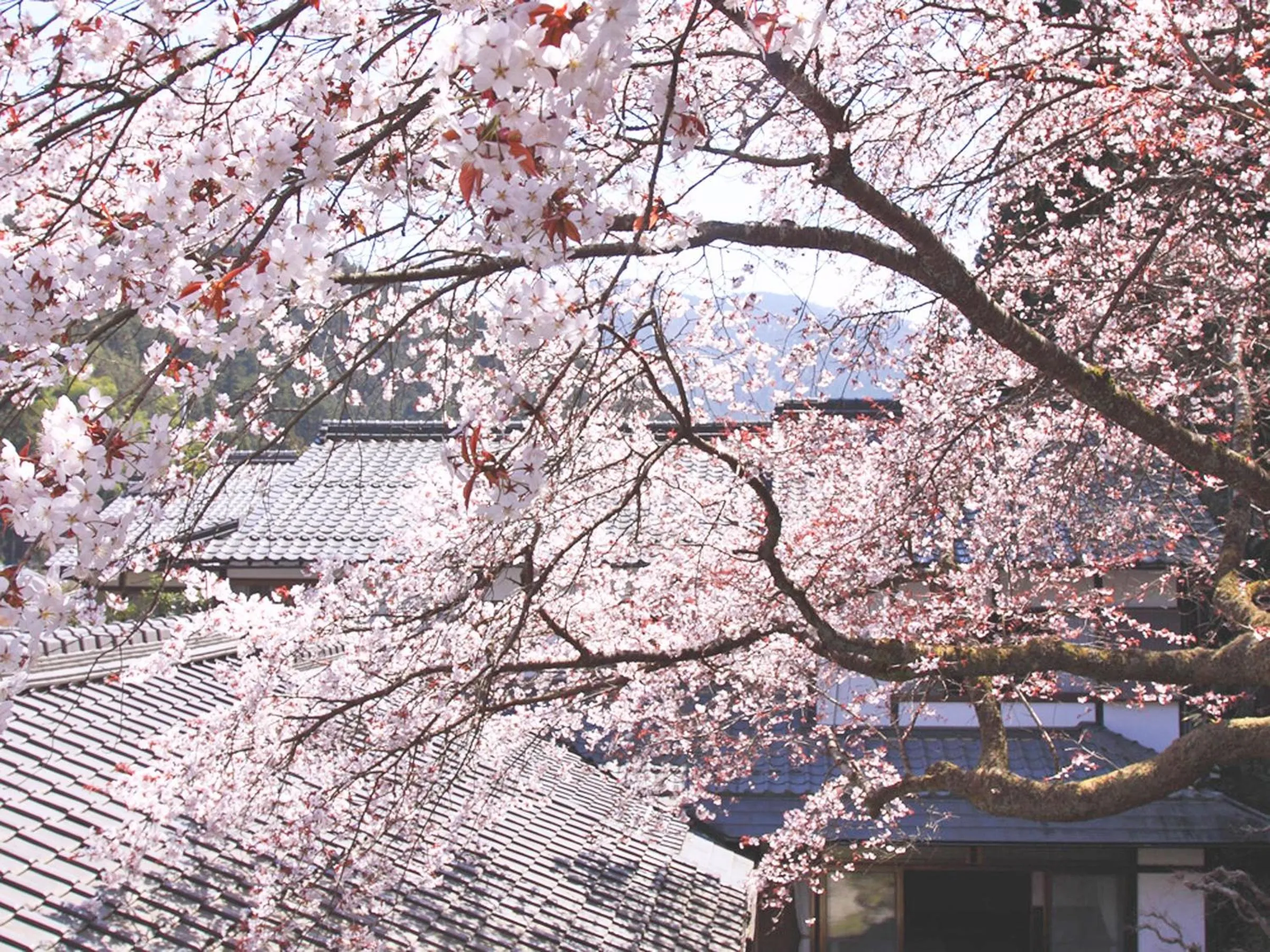 Kyo no Minshuku Ohara no Sato