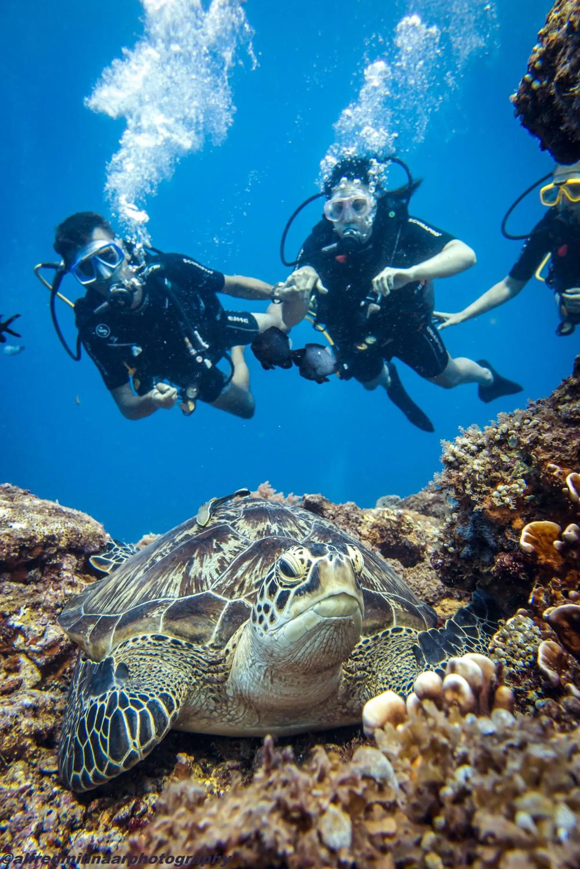 Snorkeling in Manta Dive Gili Trawangan Resort