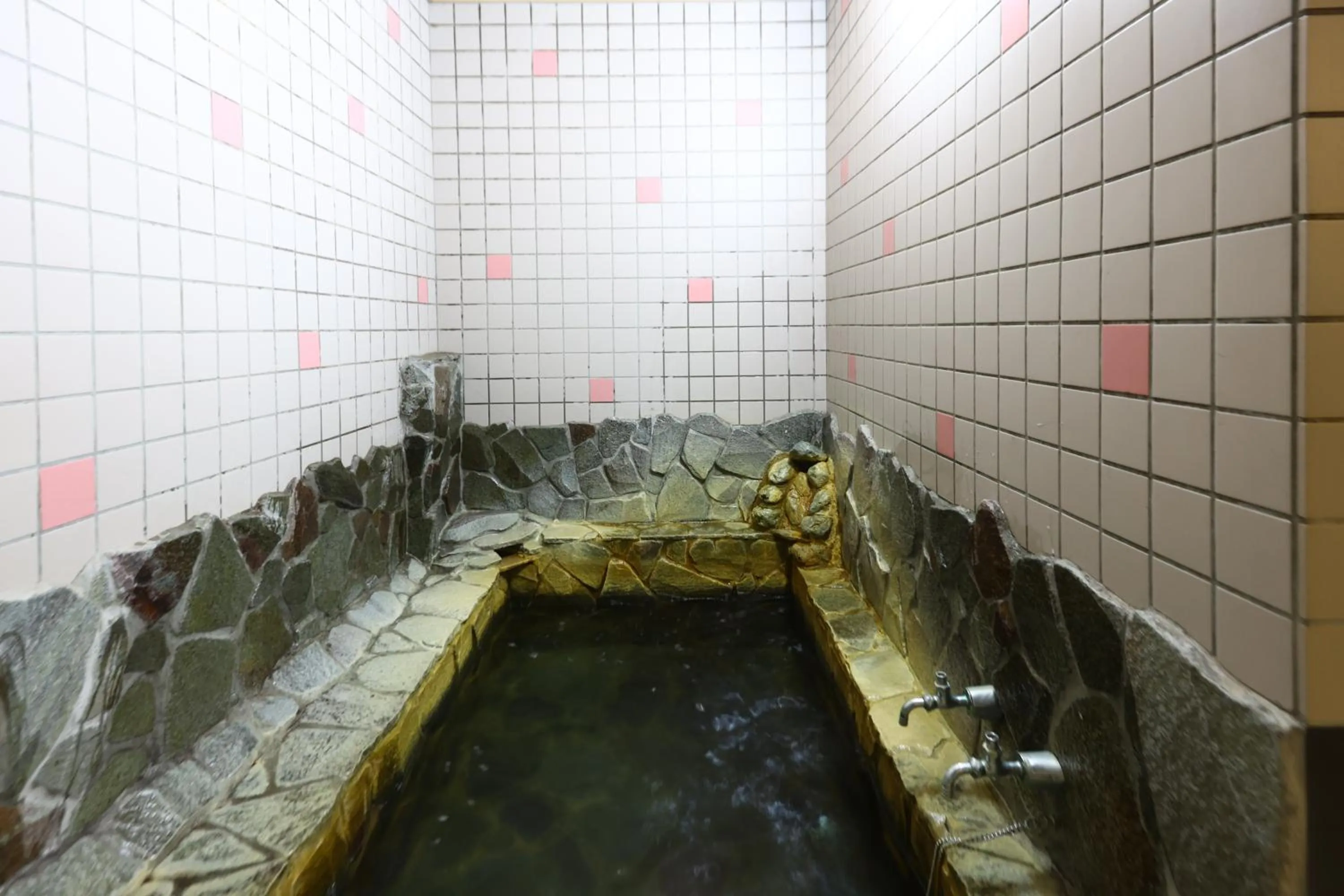 Public Bath in Hotel Sunplaza Tsugaike
