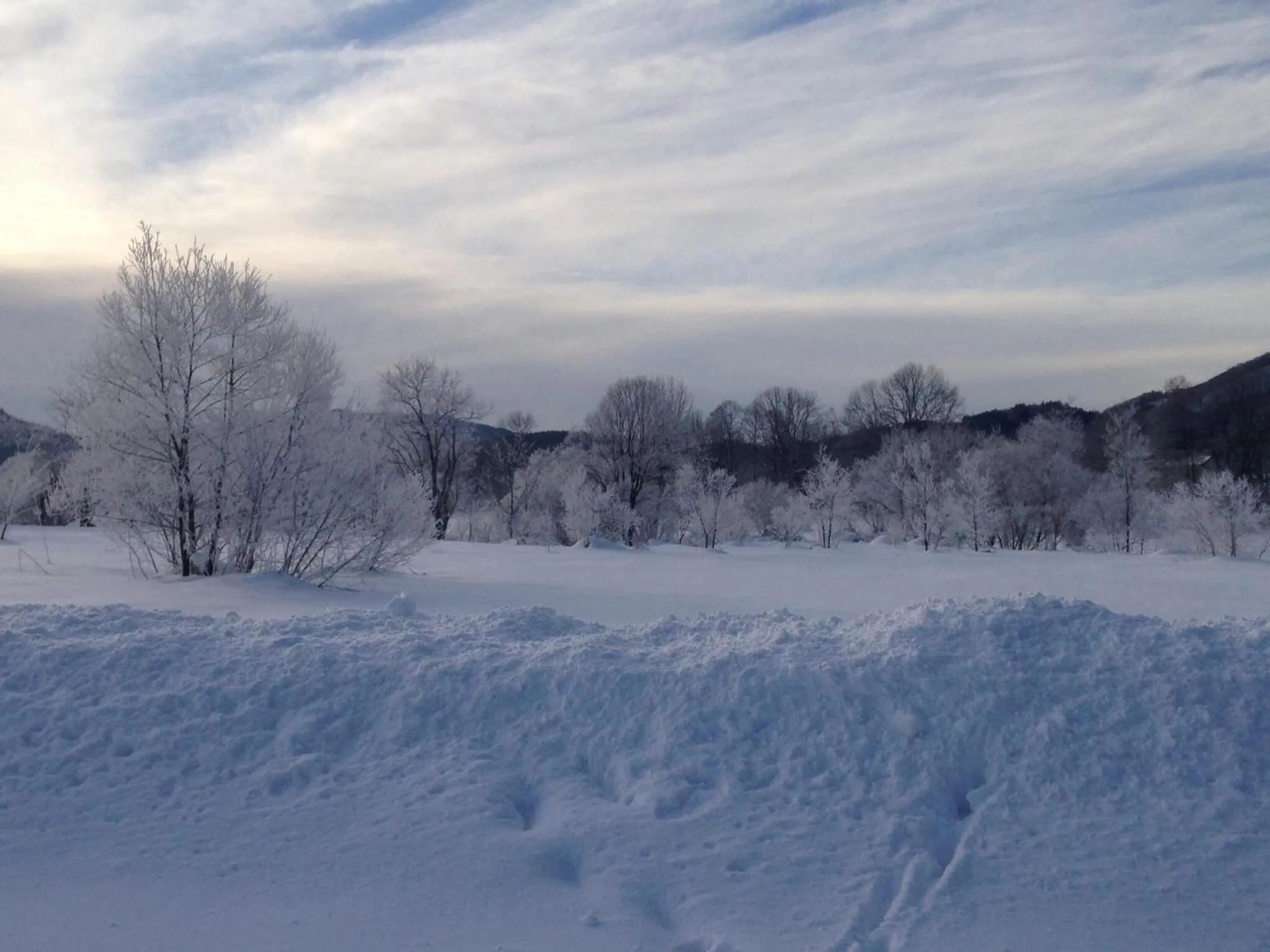 Winter in Hotel Sunplaza Tsugaike