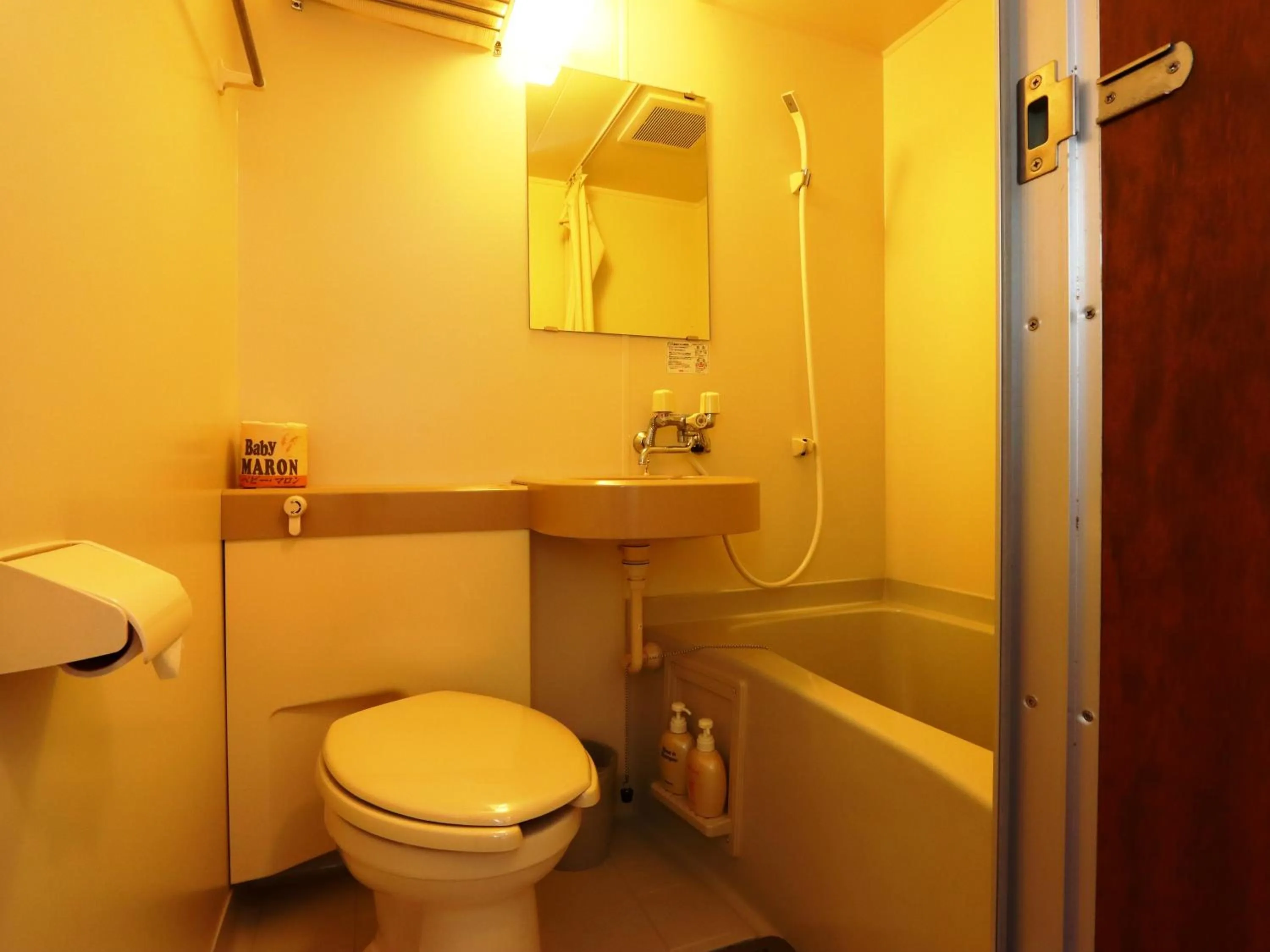 Photo of the whole room in Hotel Meribel Tsugaike