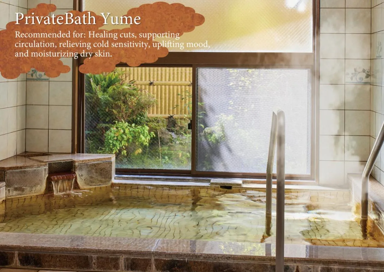 Hot Spring Bath in Hotel Aso No Tsukasa