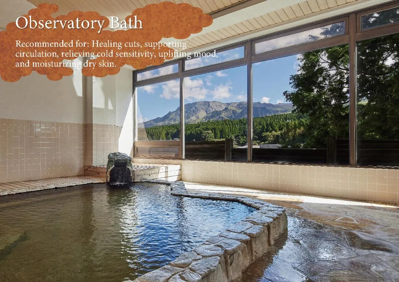 Hot Spring Bath in Hotel Aso No Tsukasa