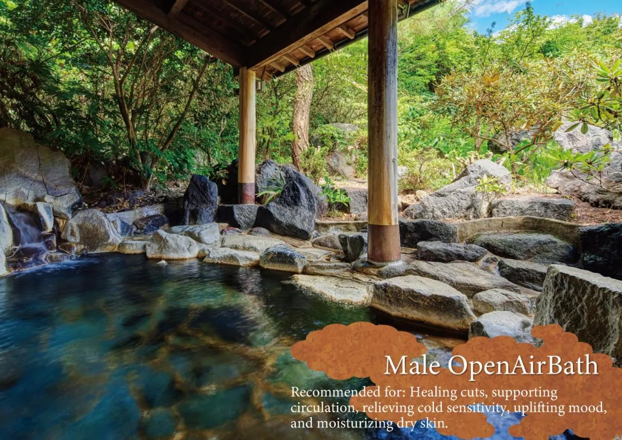 Hot Spring Bath in Hotel Aso No Tsukasa