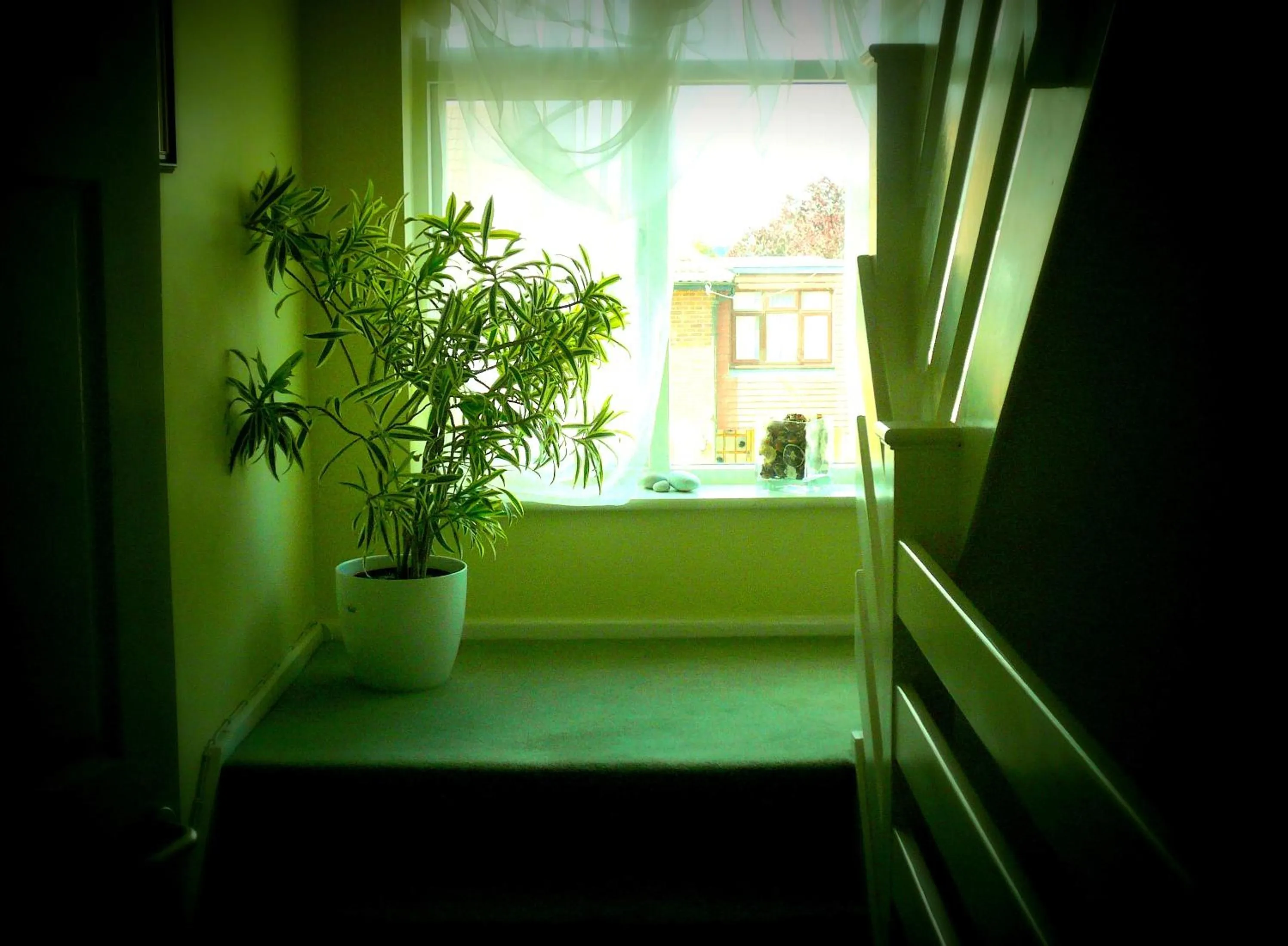 Day in Malvern House