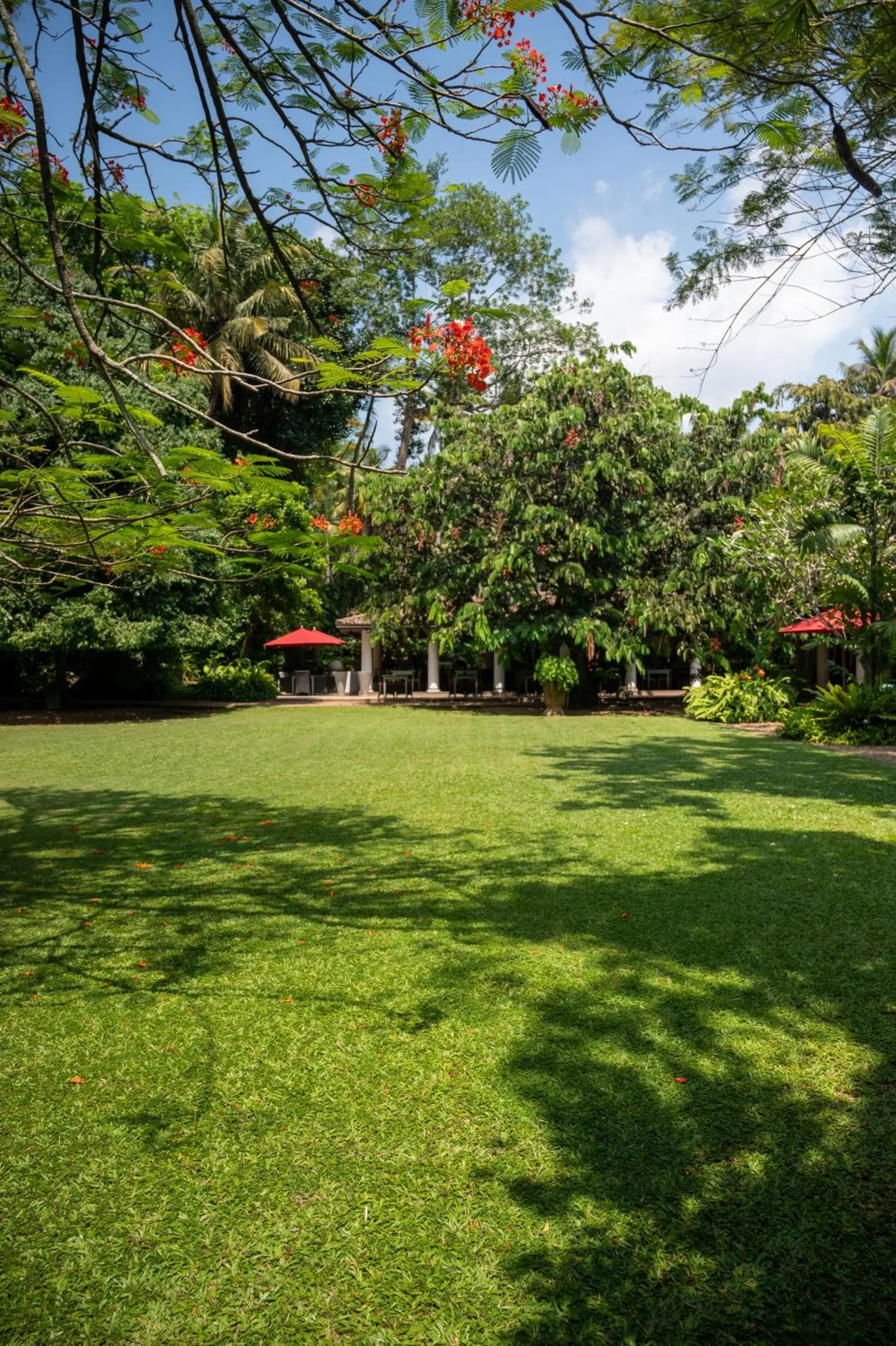 Natural landscape in Wallawwa