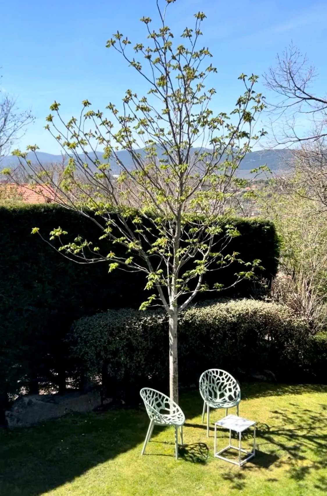 Natural landscape in Luces del Poniente