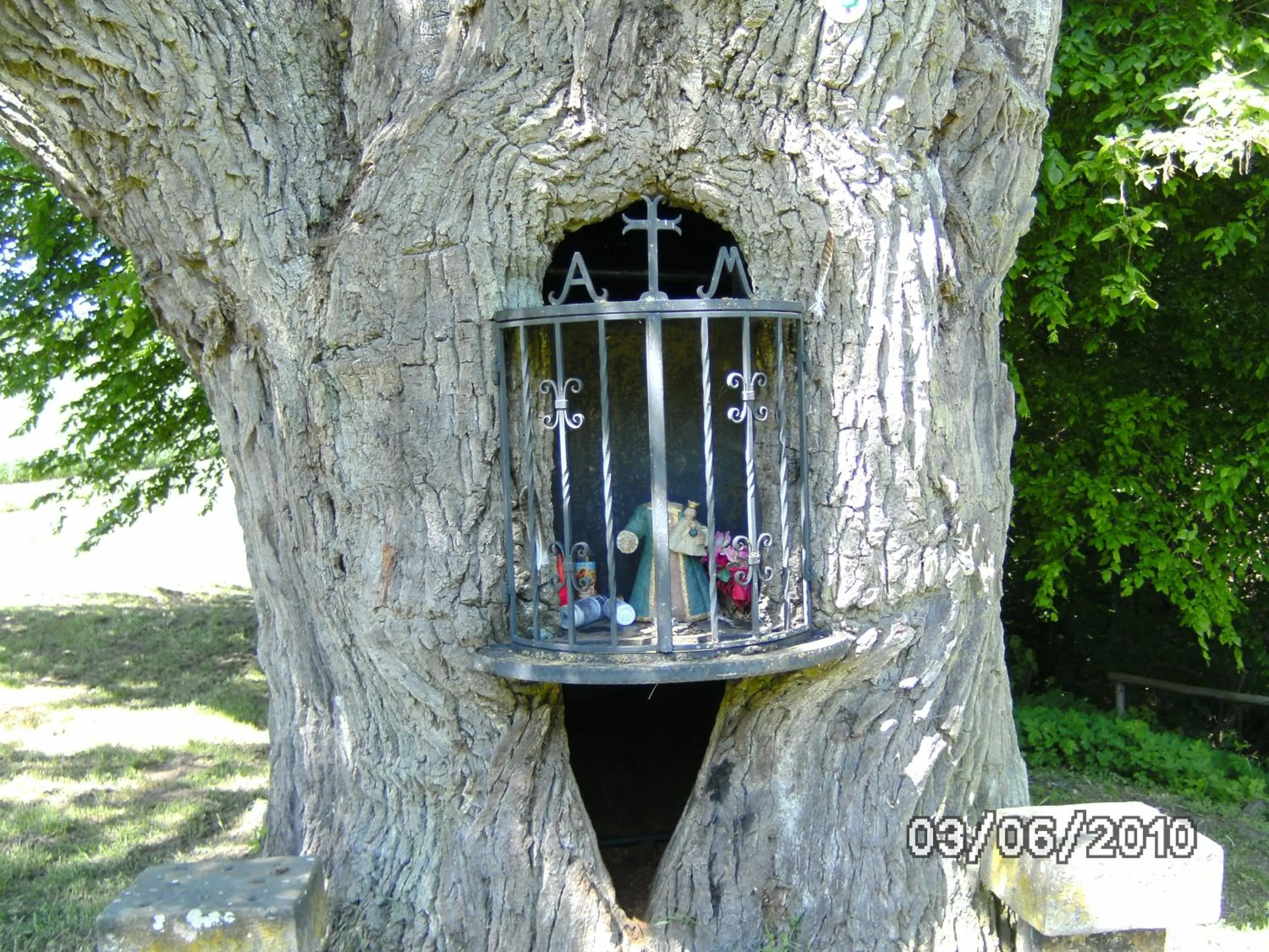 Area and facilities in B&B De Boerderij