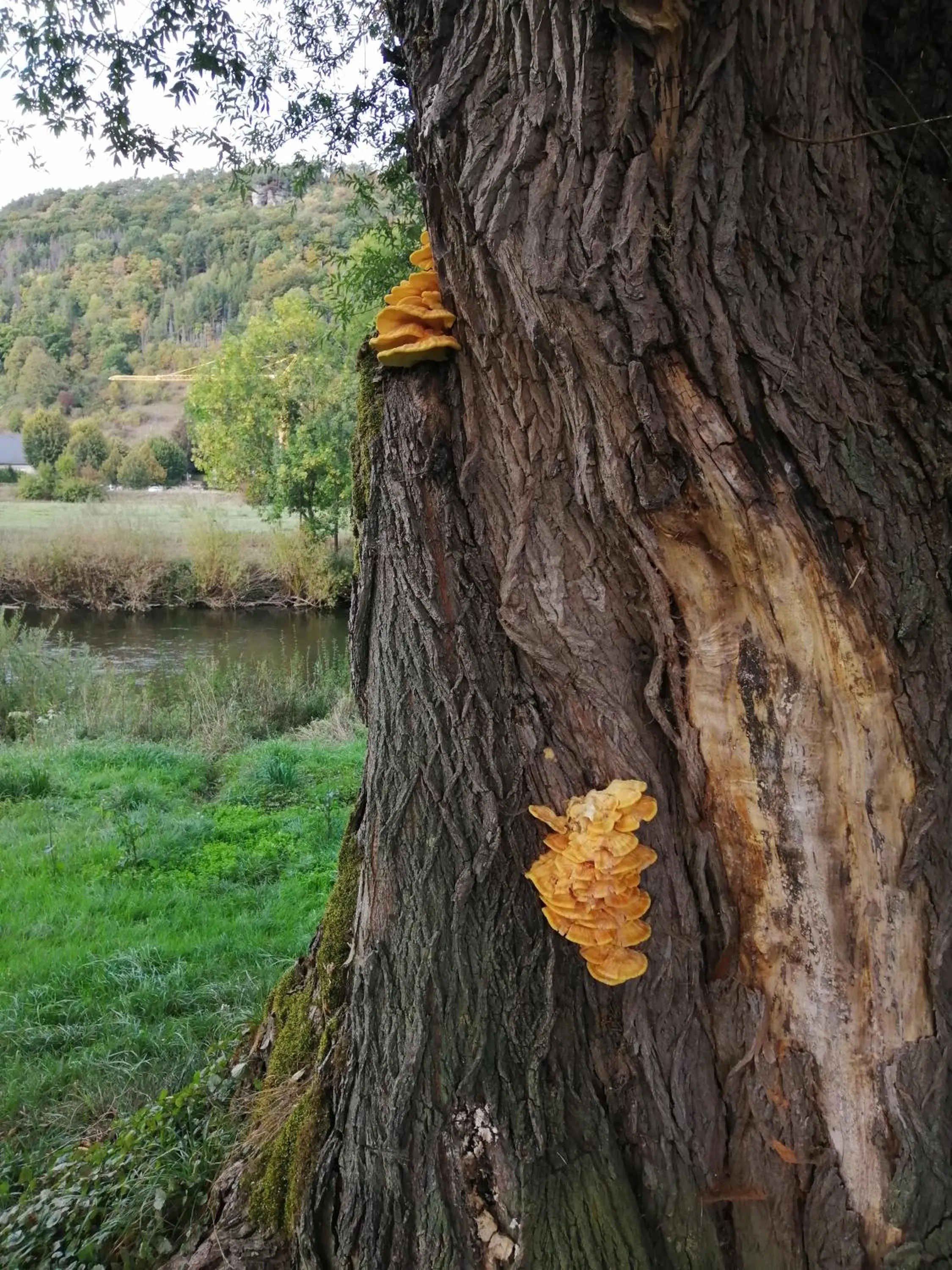 Natural landscape in B&B De Boerderij