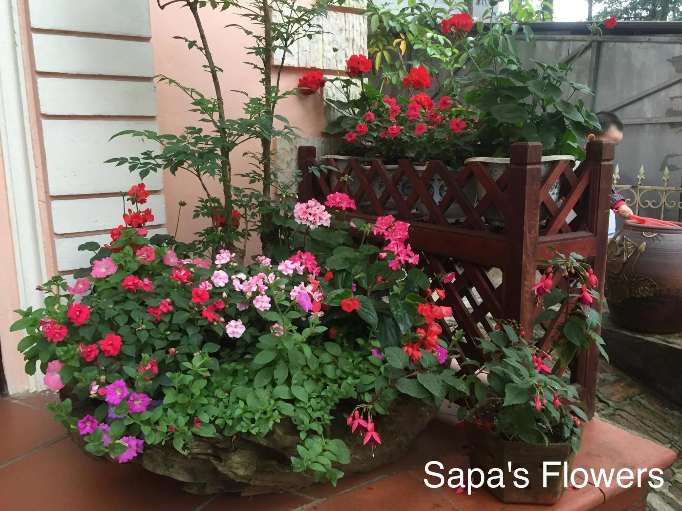 Text overlay in Thai Binh Sapa Hotel