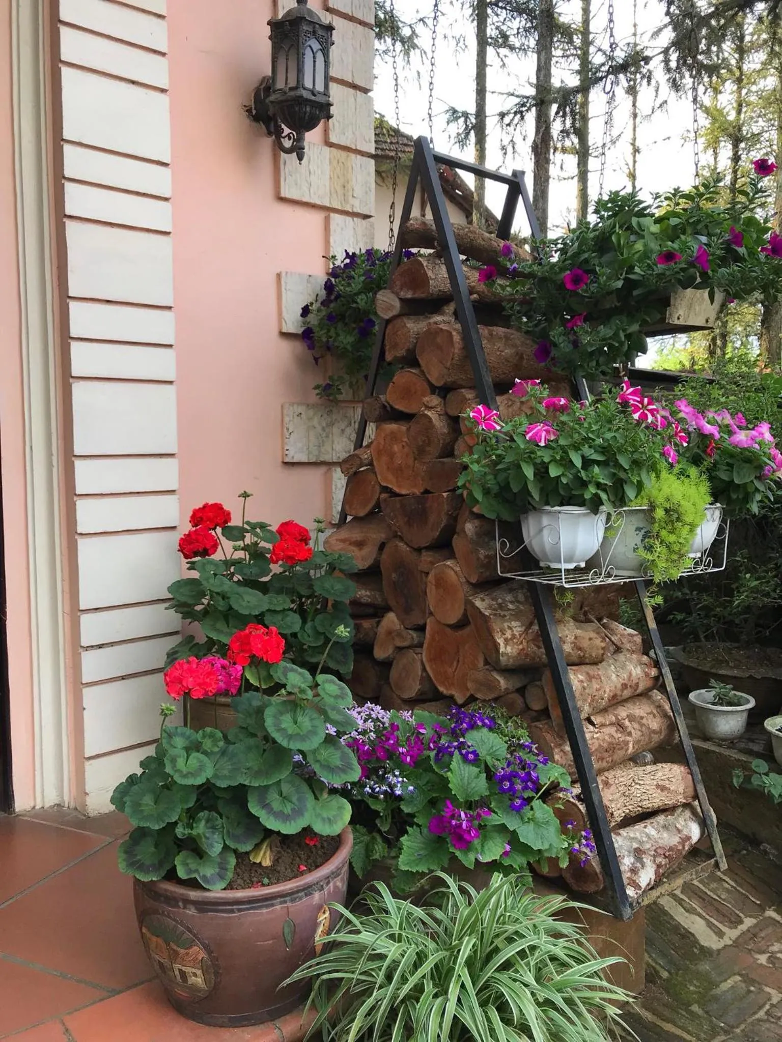 Garden in Thai Binh Sapa Hotel