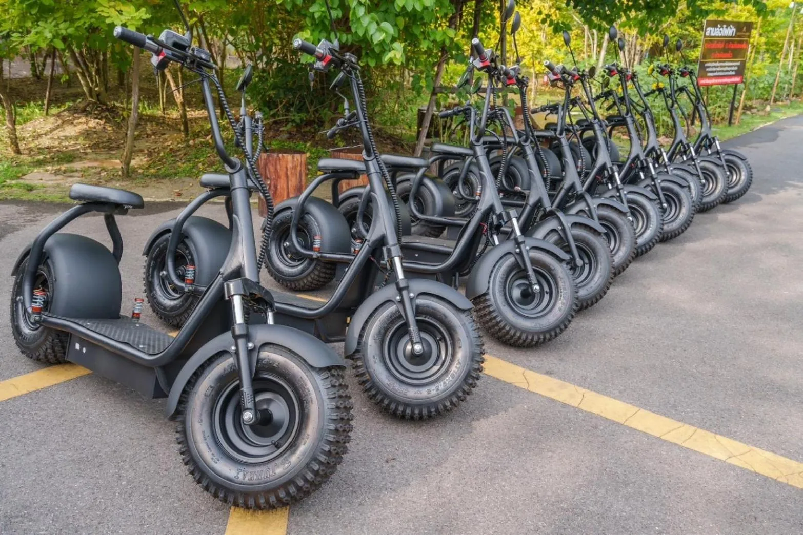 Activities in Khum Damnoen Resort