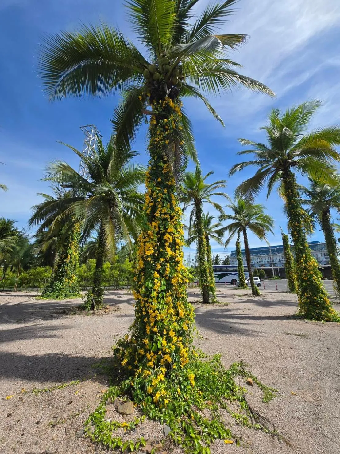 Inner courtyard view in Khum Damnoen Resort
