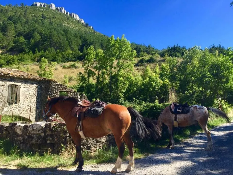 Activities in Moulin A