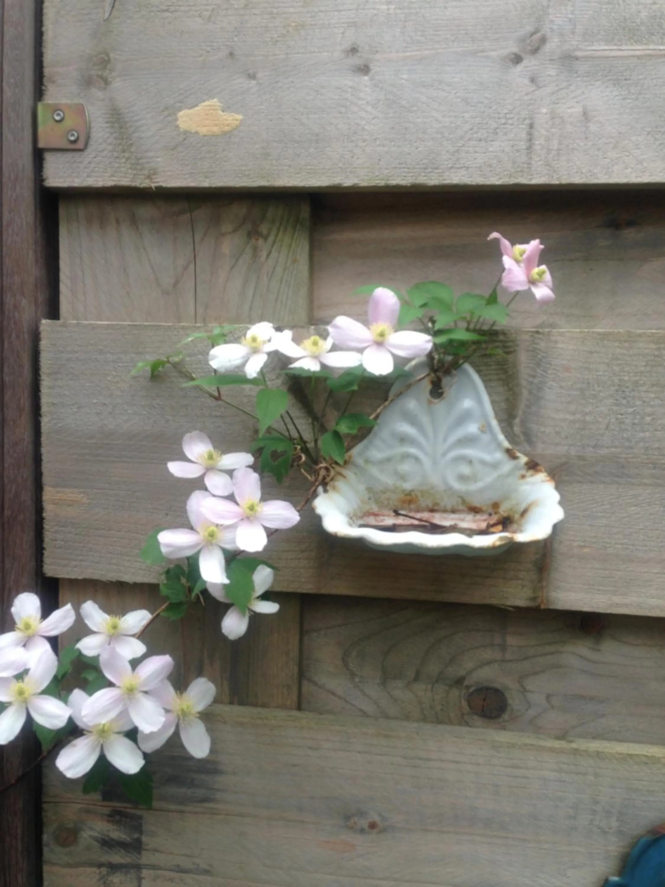 Property building in B&B De Koraal