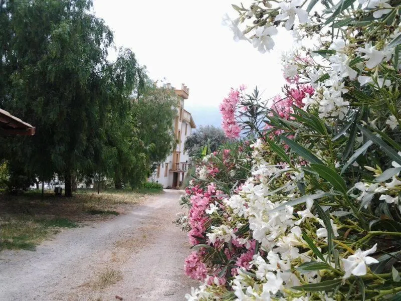 Other in Rocca Di Monreale