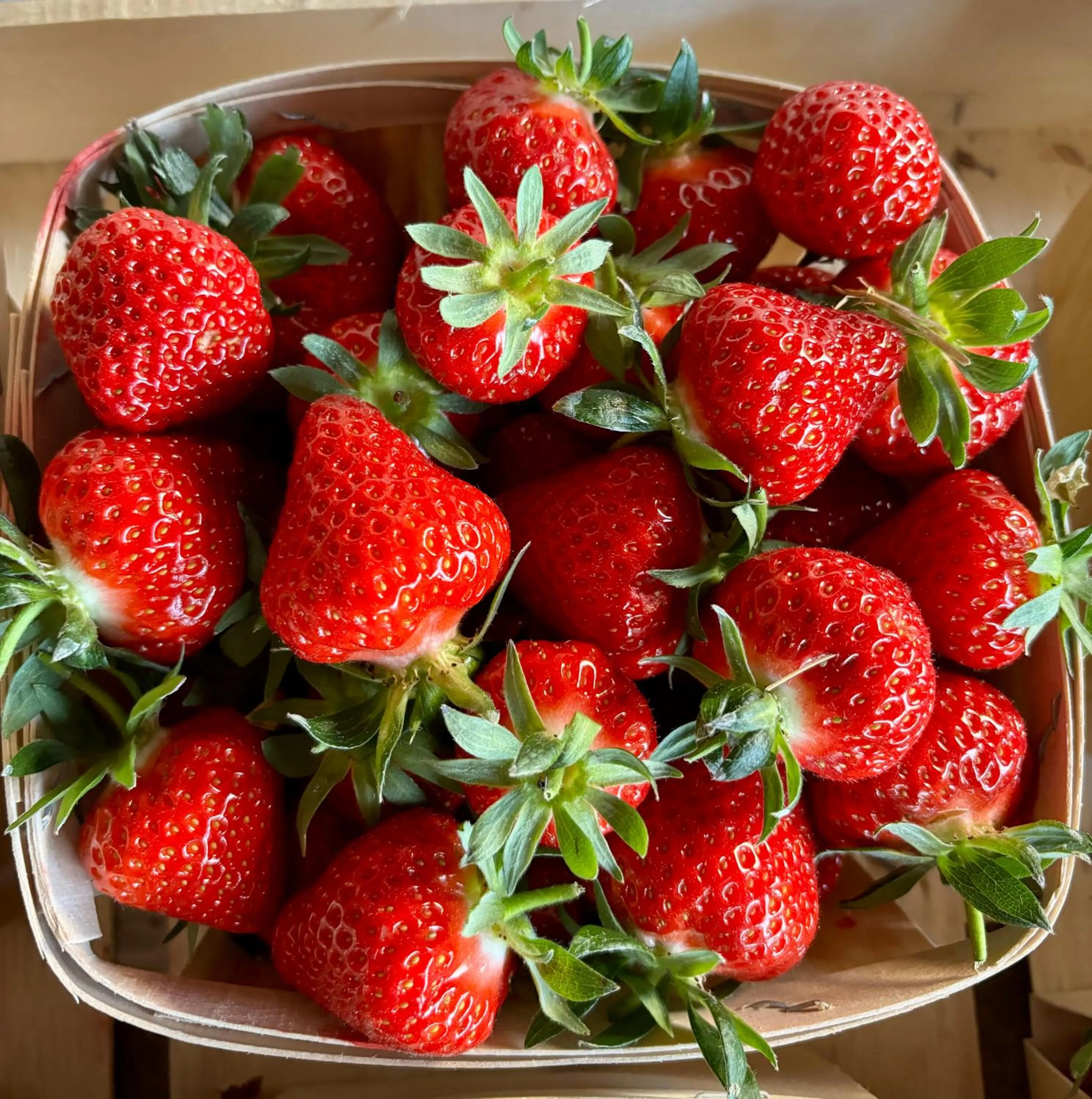 Bastide Bellugue Maison d'hôtes réseau Bienvenue à La Ferme à 3 minutes de Lourmarin