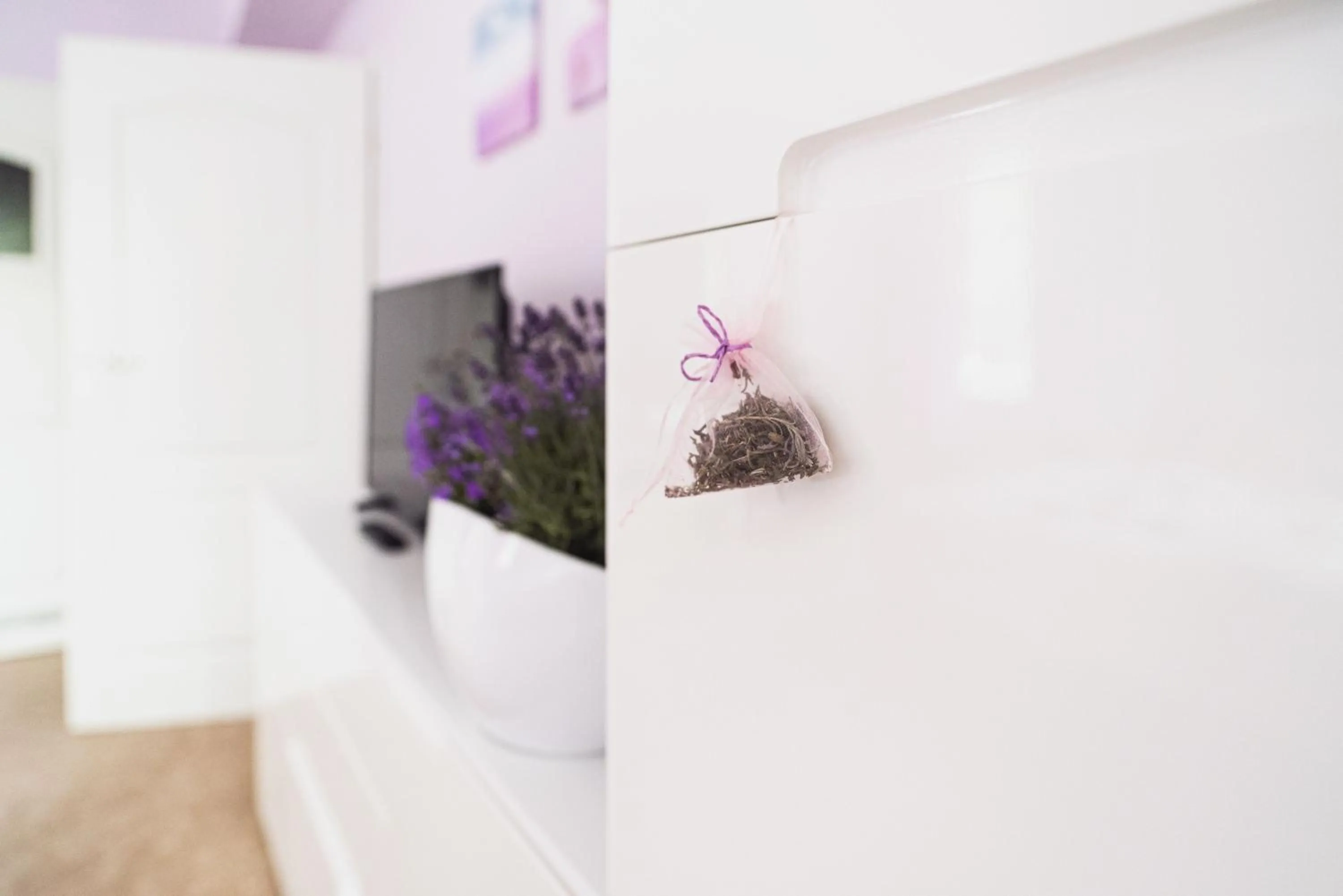 Spring in Lawendowy Dworek