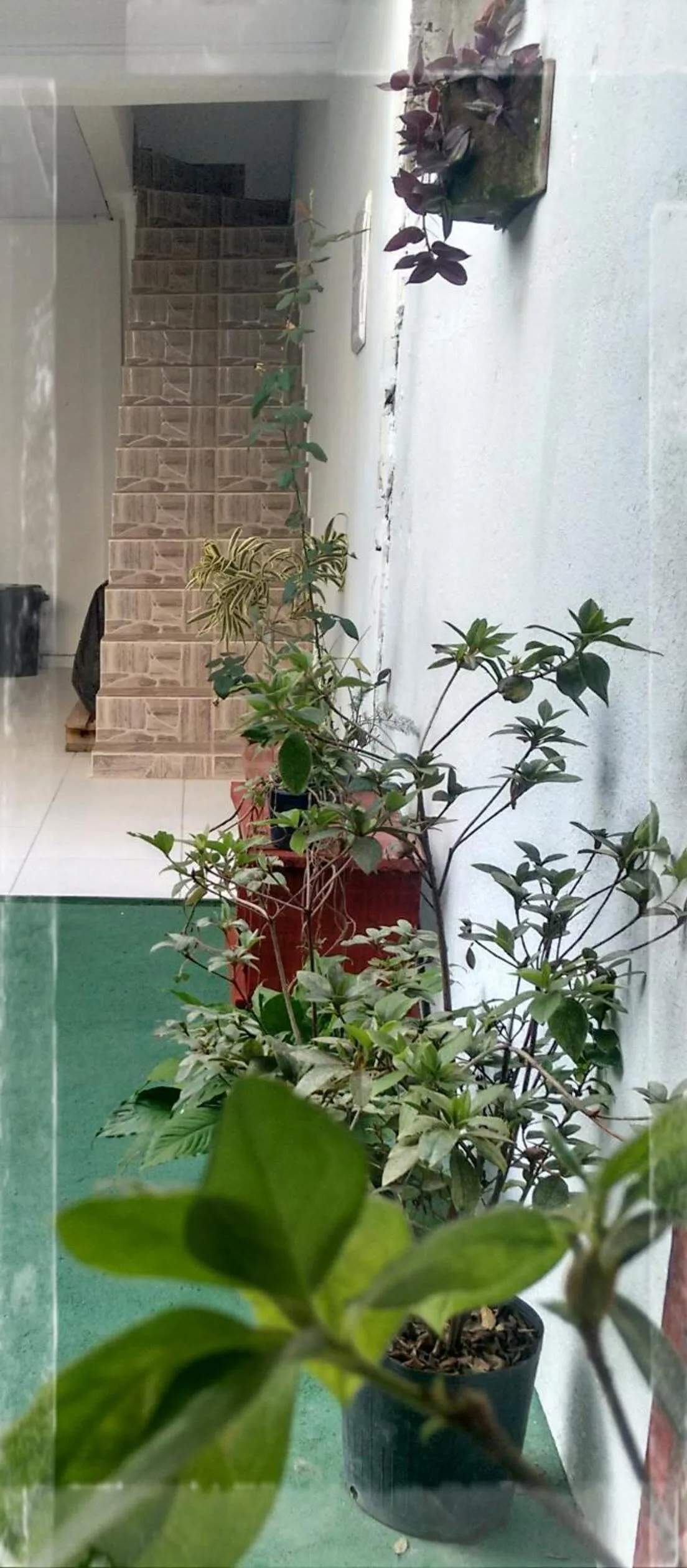 Facade/entrance in Casa dos Avós