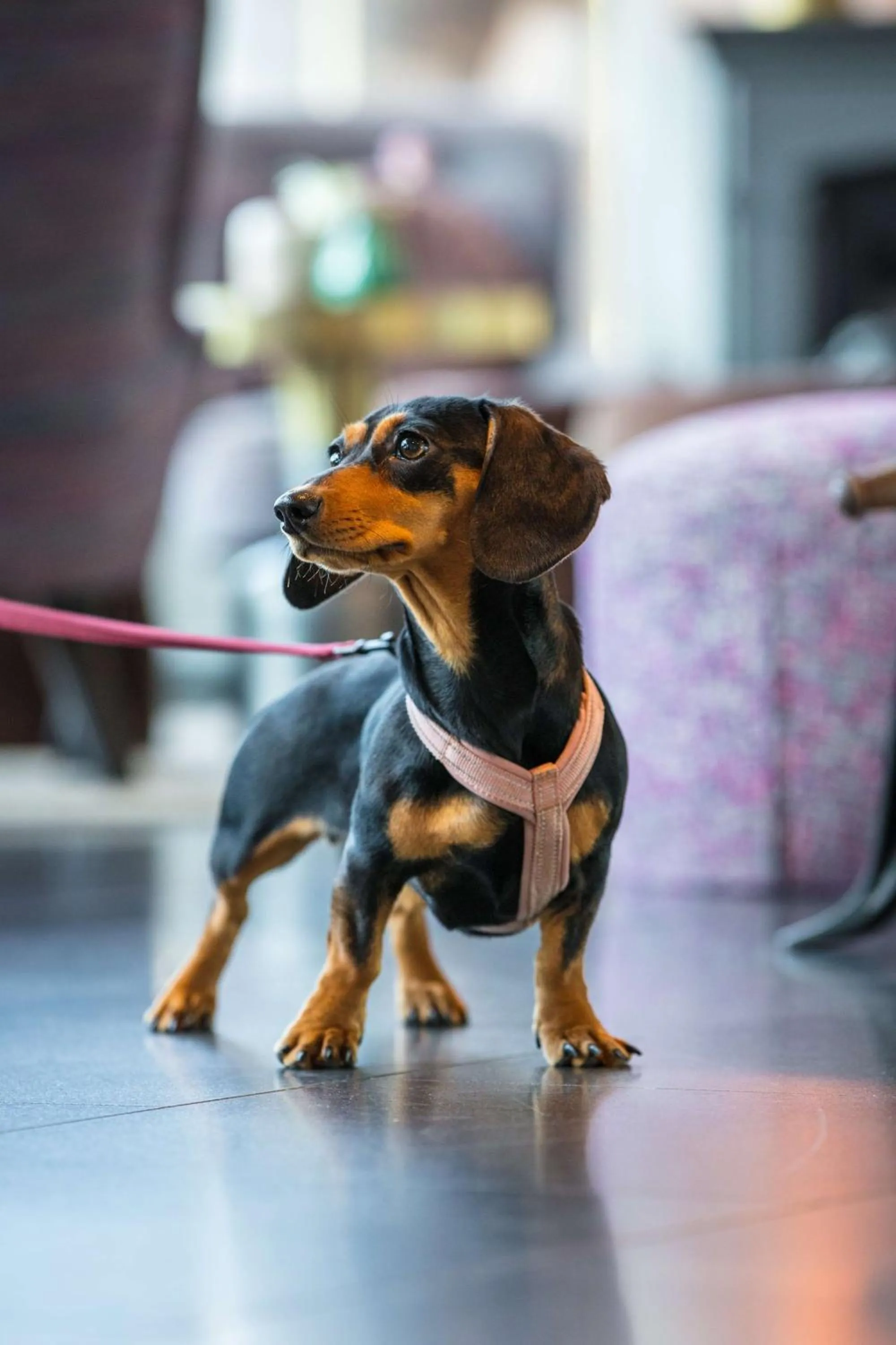 Other in Radisson Blu Hotel Uppsala